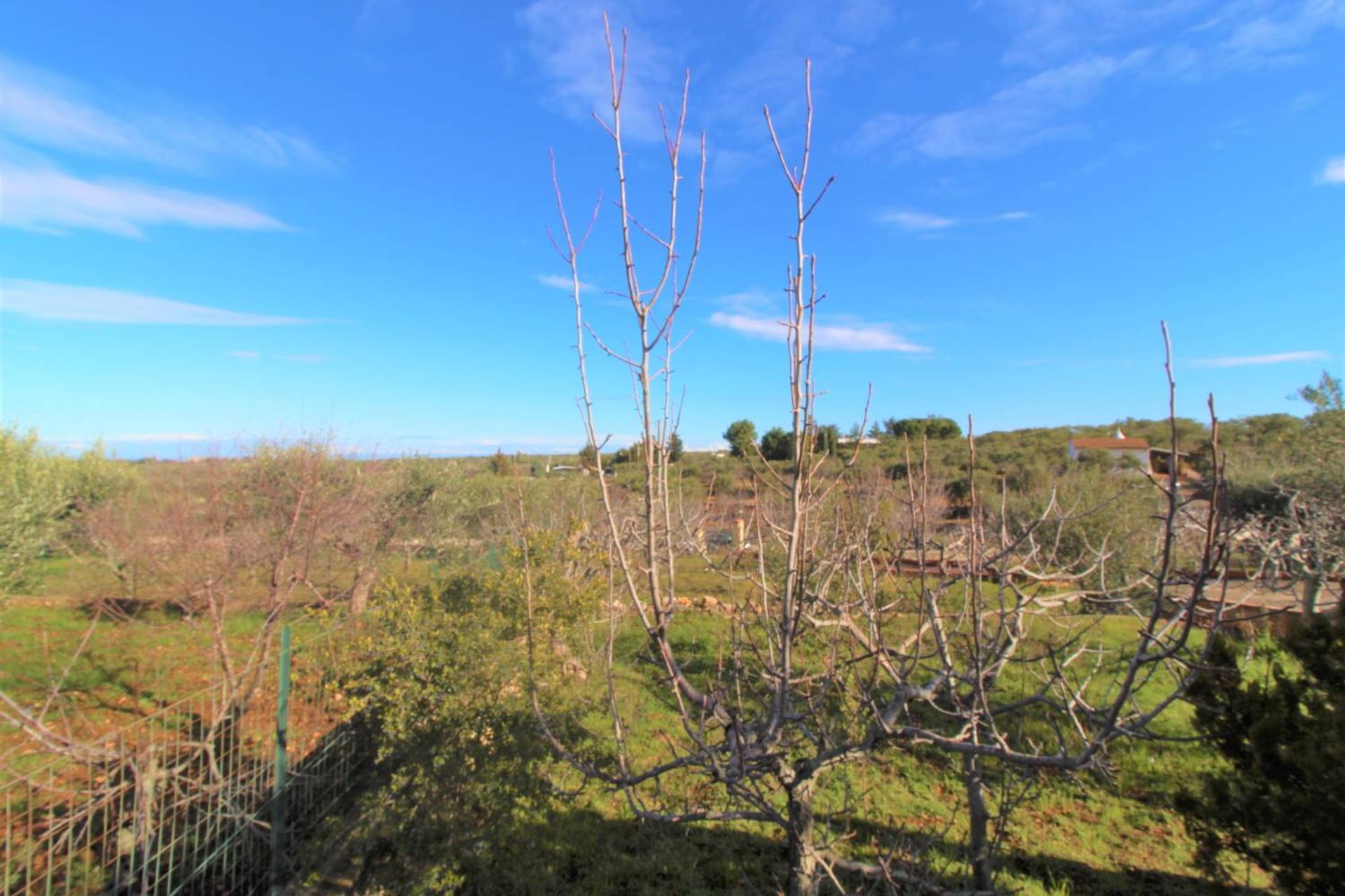 Condominium in Conversano, Apulia 10930825