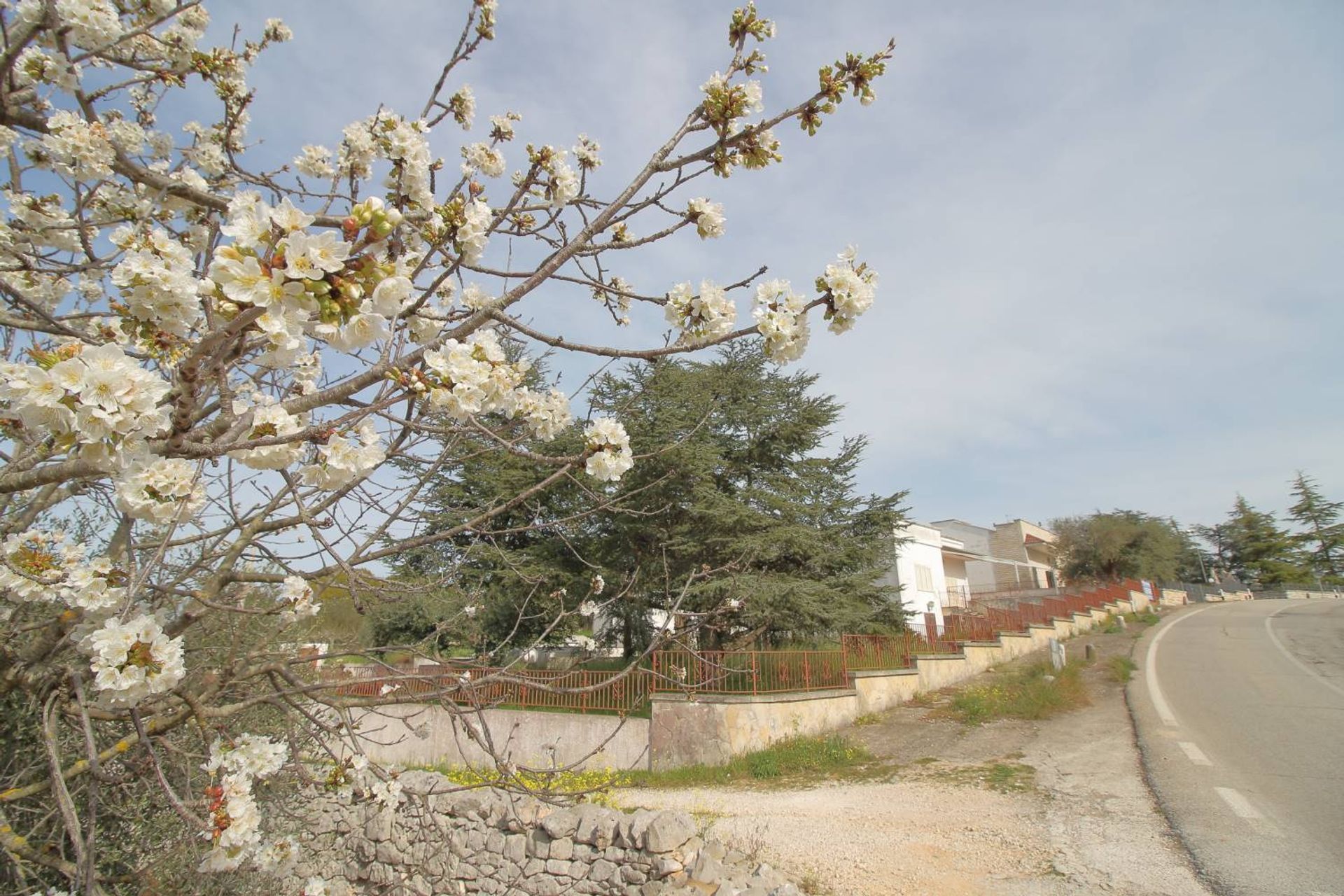 Condominium dans Monopoli, Apulia 10930828