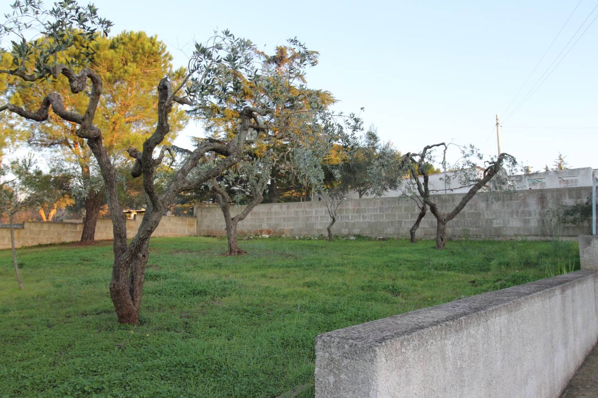 Condominium dans Monopoli, Apulia 10930828