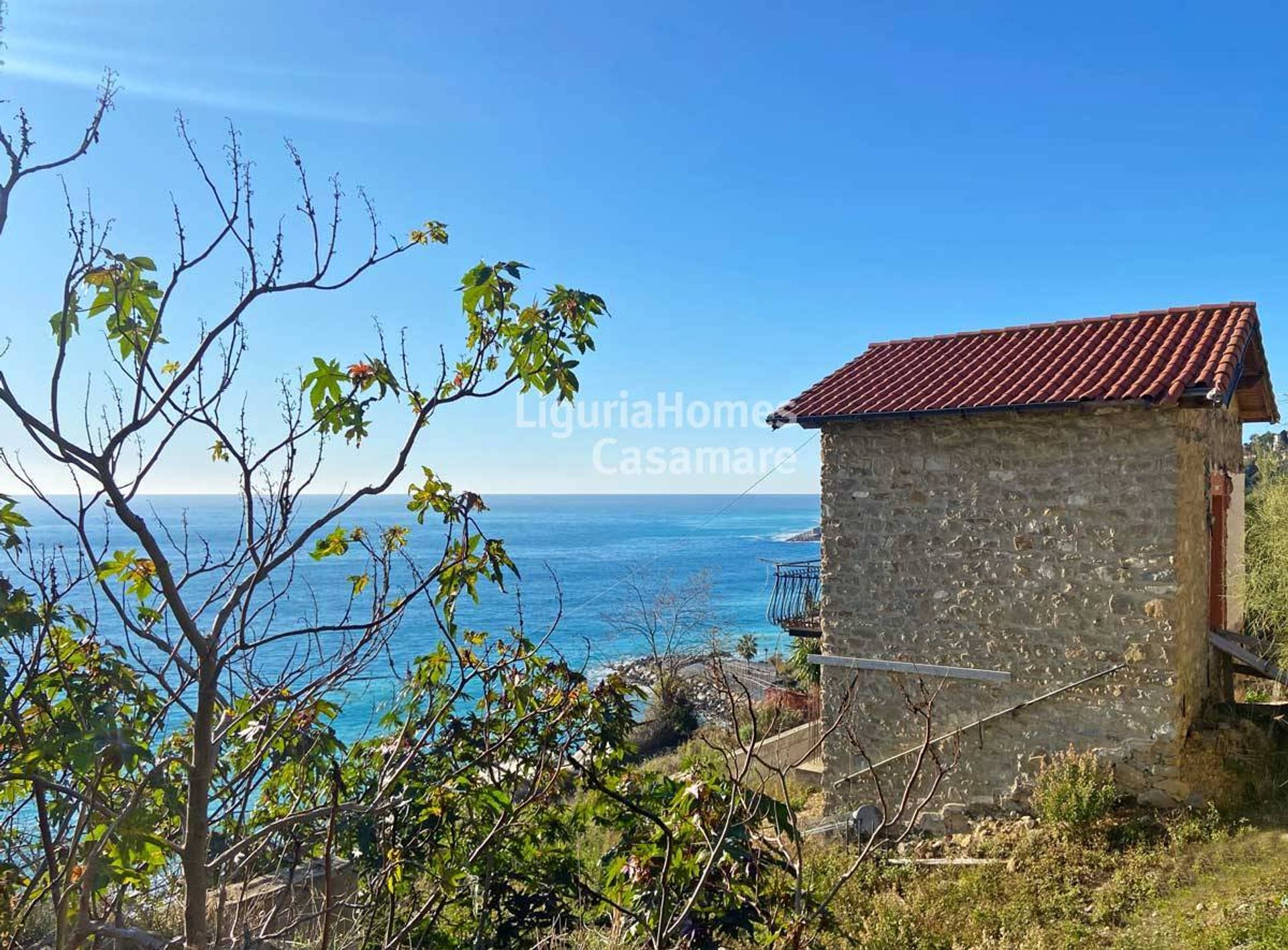 土地 在 Bordighera, Liguria 10930989