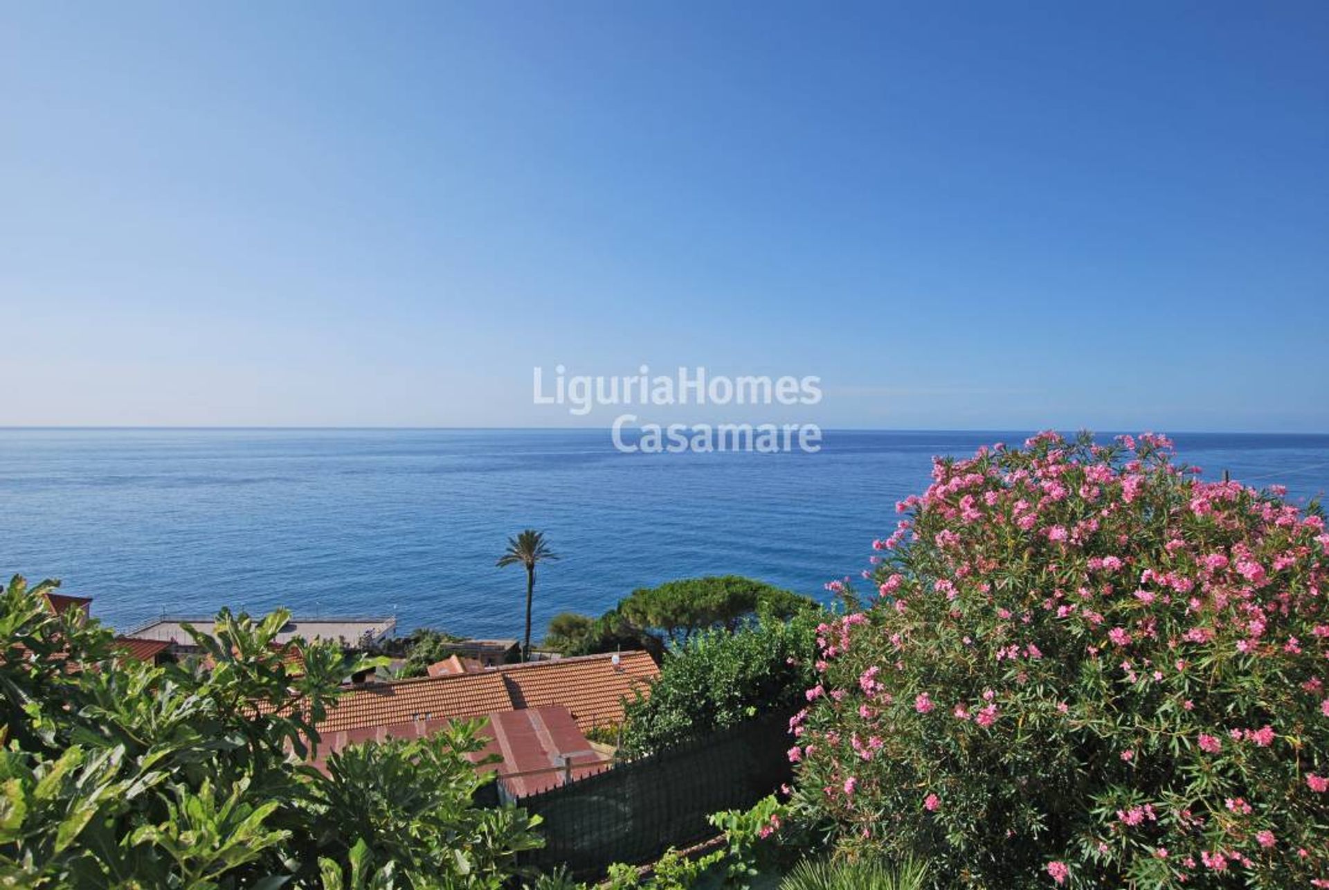 Huis in Cipressa, Liguria 10930992