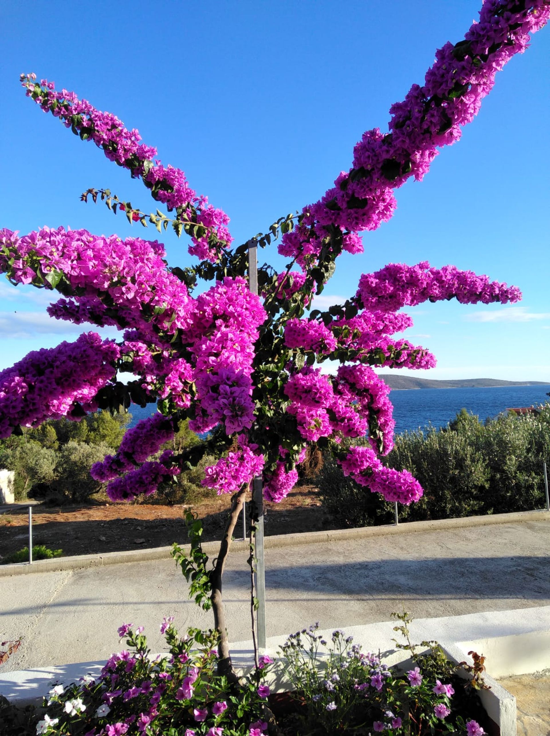 σπίτι σε Hvar, Split-Dalmatia County 10931044