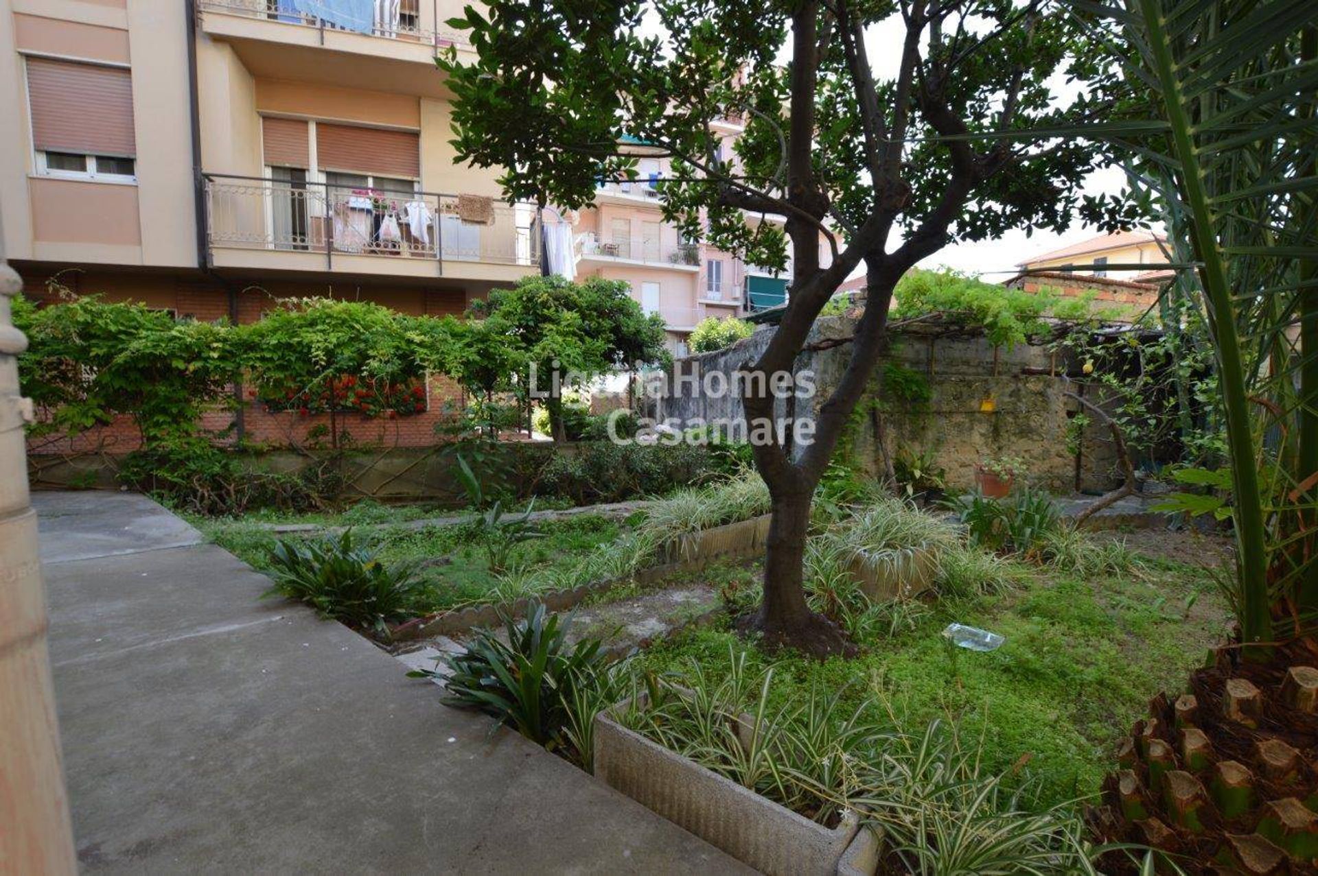 loger dans Bordighera, Ligurie 10931059