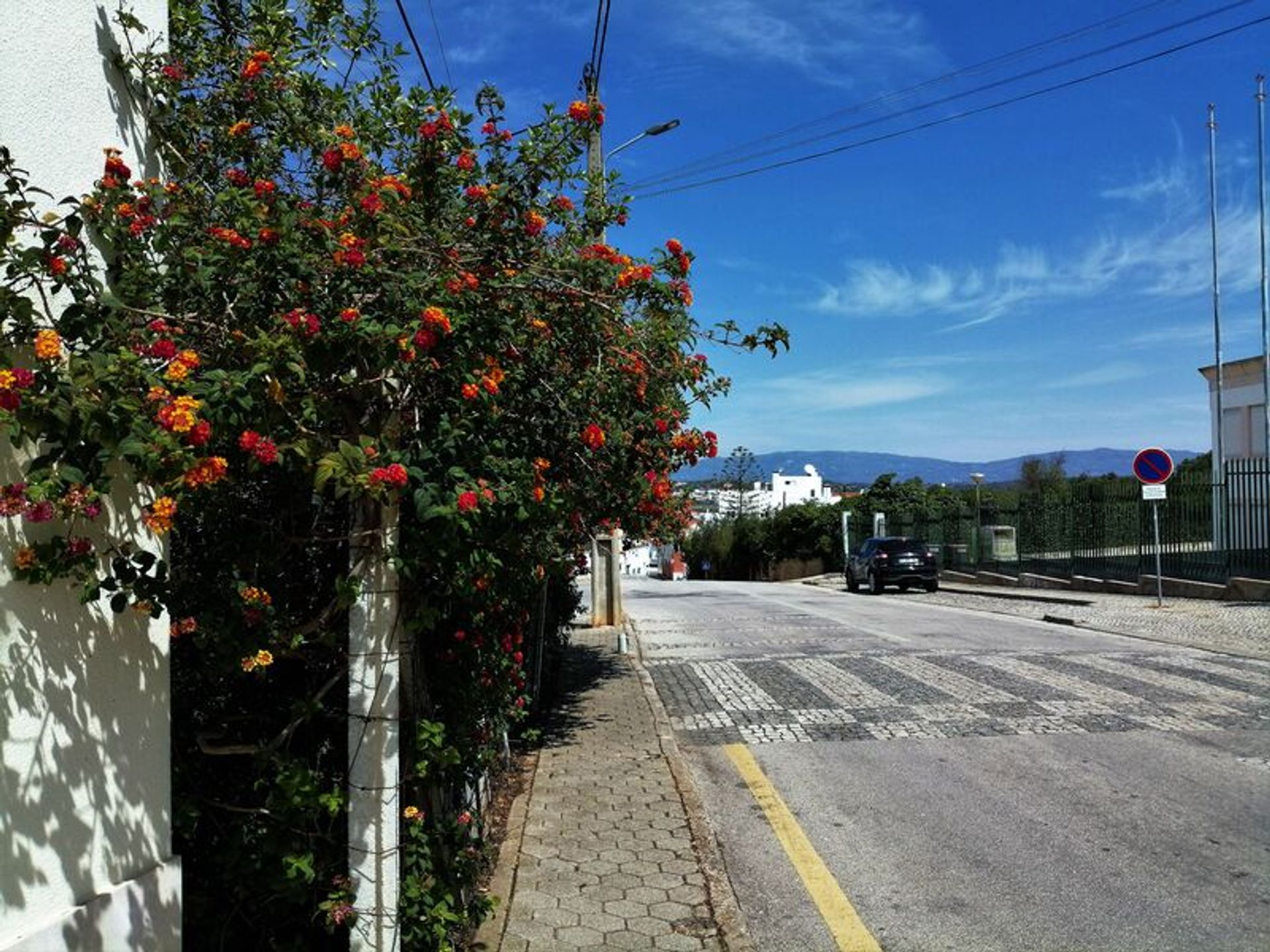 Land im Parchal, Faro District 10931070