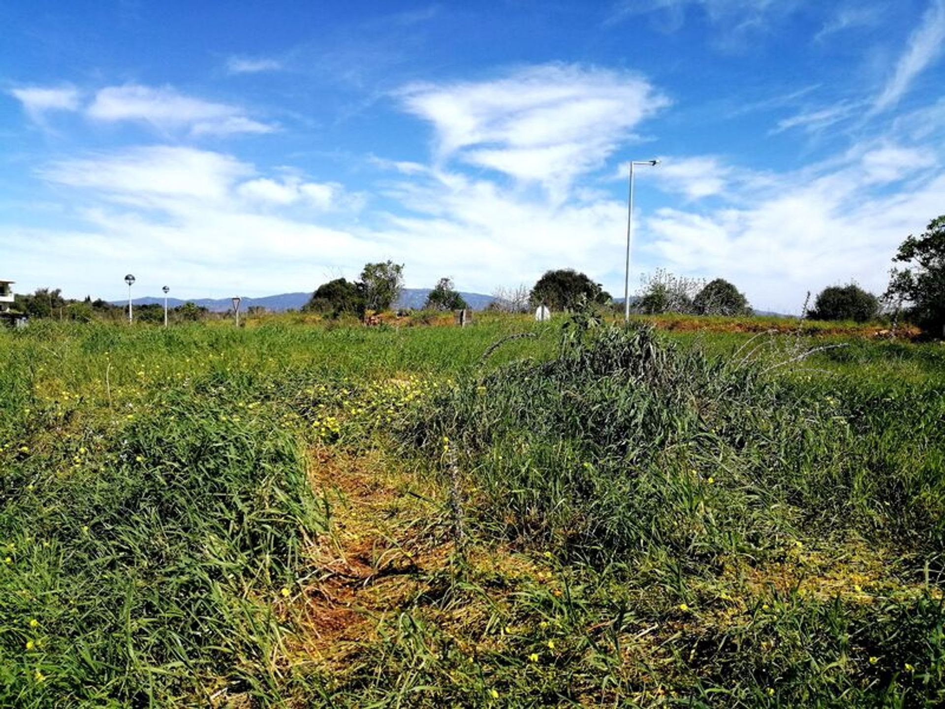 Tanah dalam Portimão, Faro 10931076