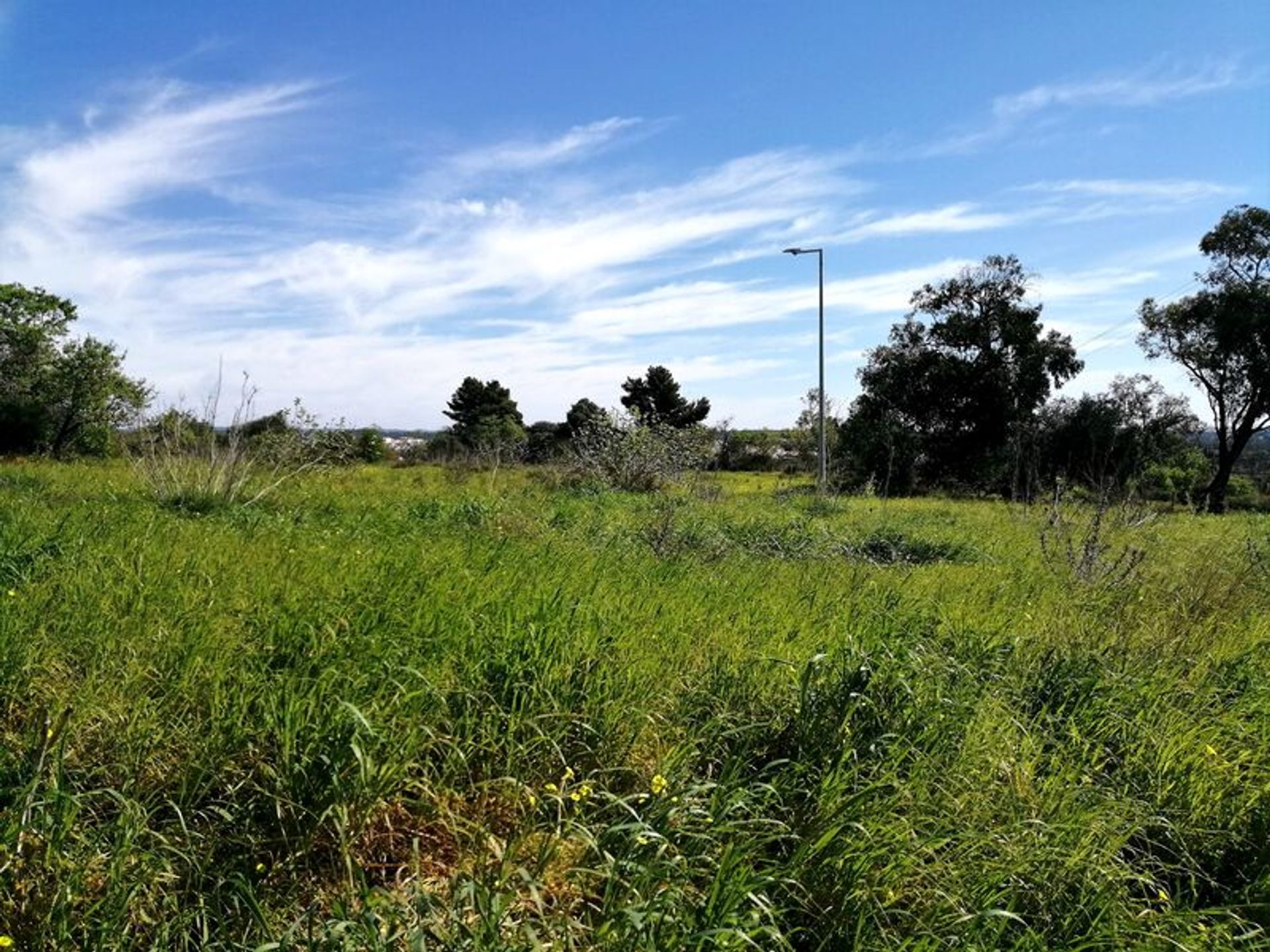 Tanah dalam Portimão, Faro 10931076