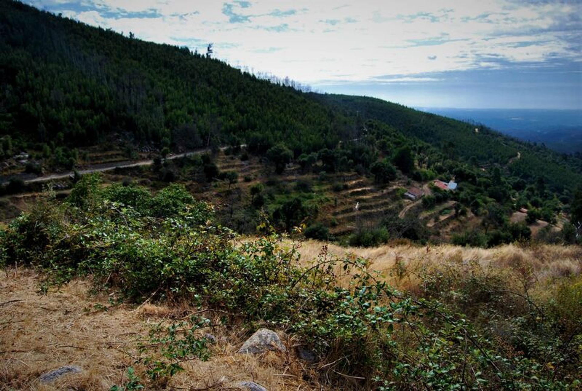 土地 在 蒙希克, 法魯 10931078