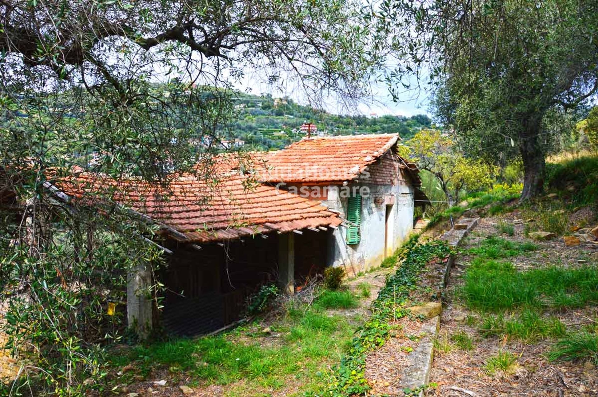 σπίτι σε Vallebona, Liguria 10931257