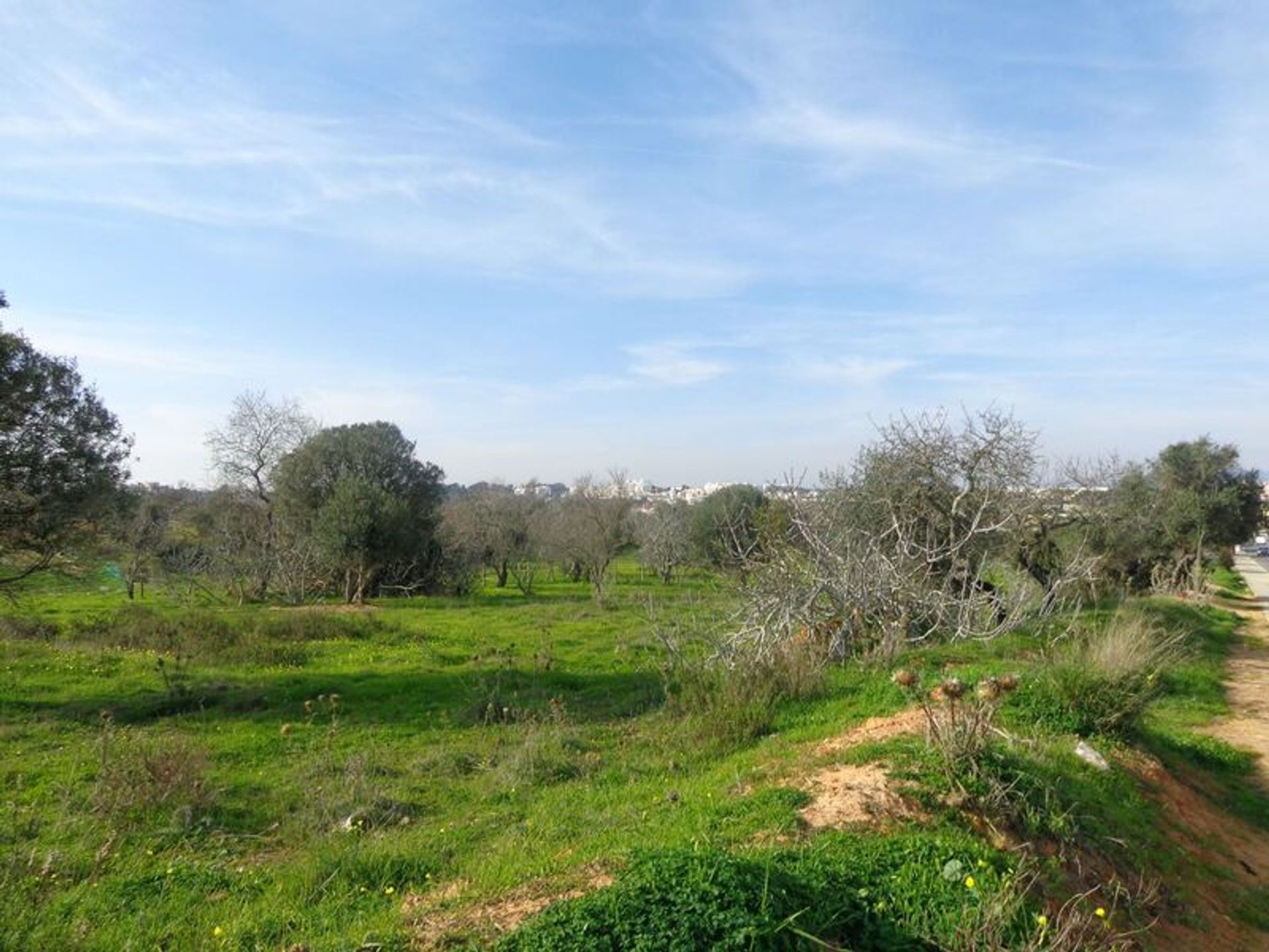 Land in Amoreira, Faro 10931380