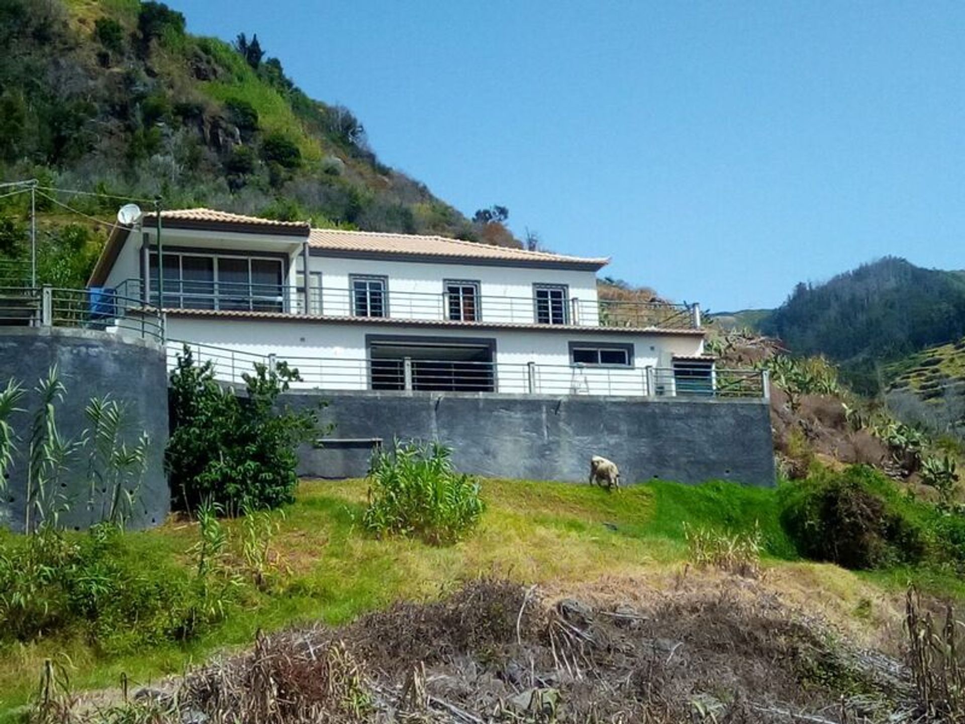 House in Venda do Atalhinho, Madeira 10931395