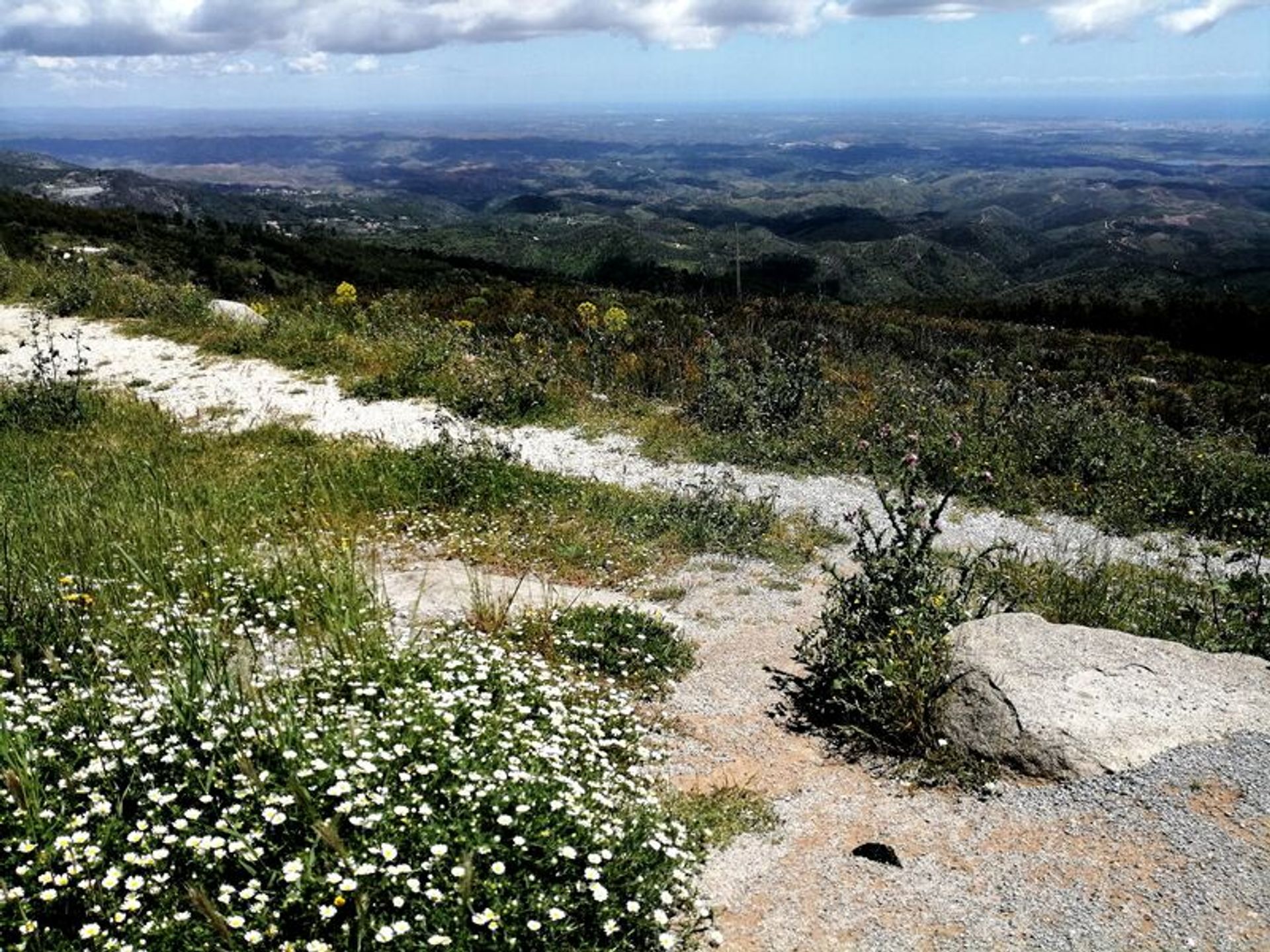 Land in Monchique, Faro 10931449