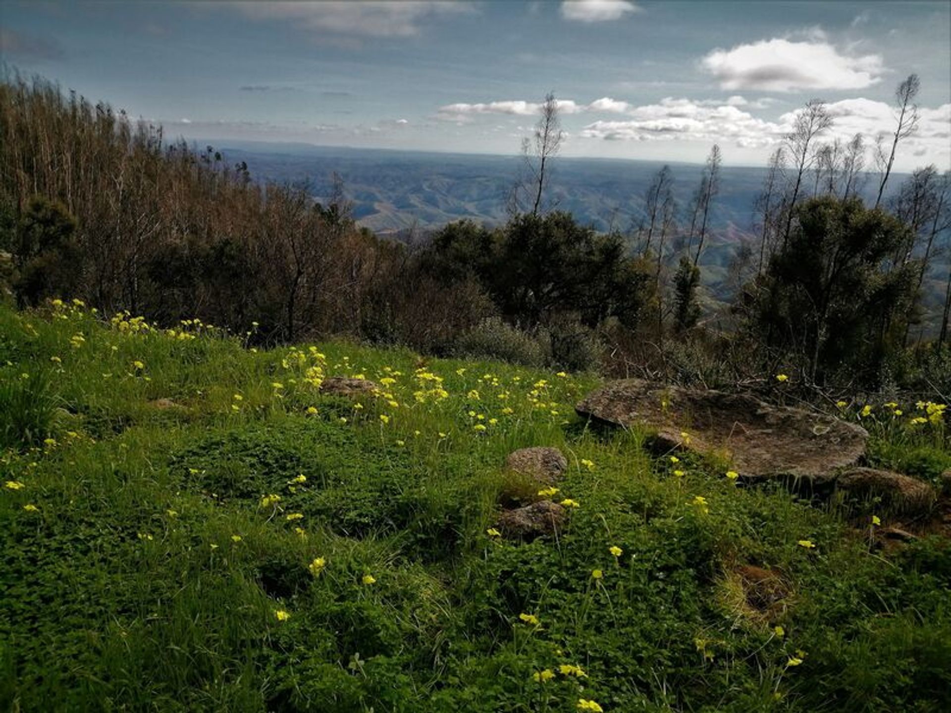 Tierra en Vale, Faro 10931458