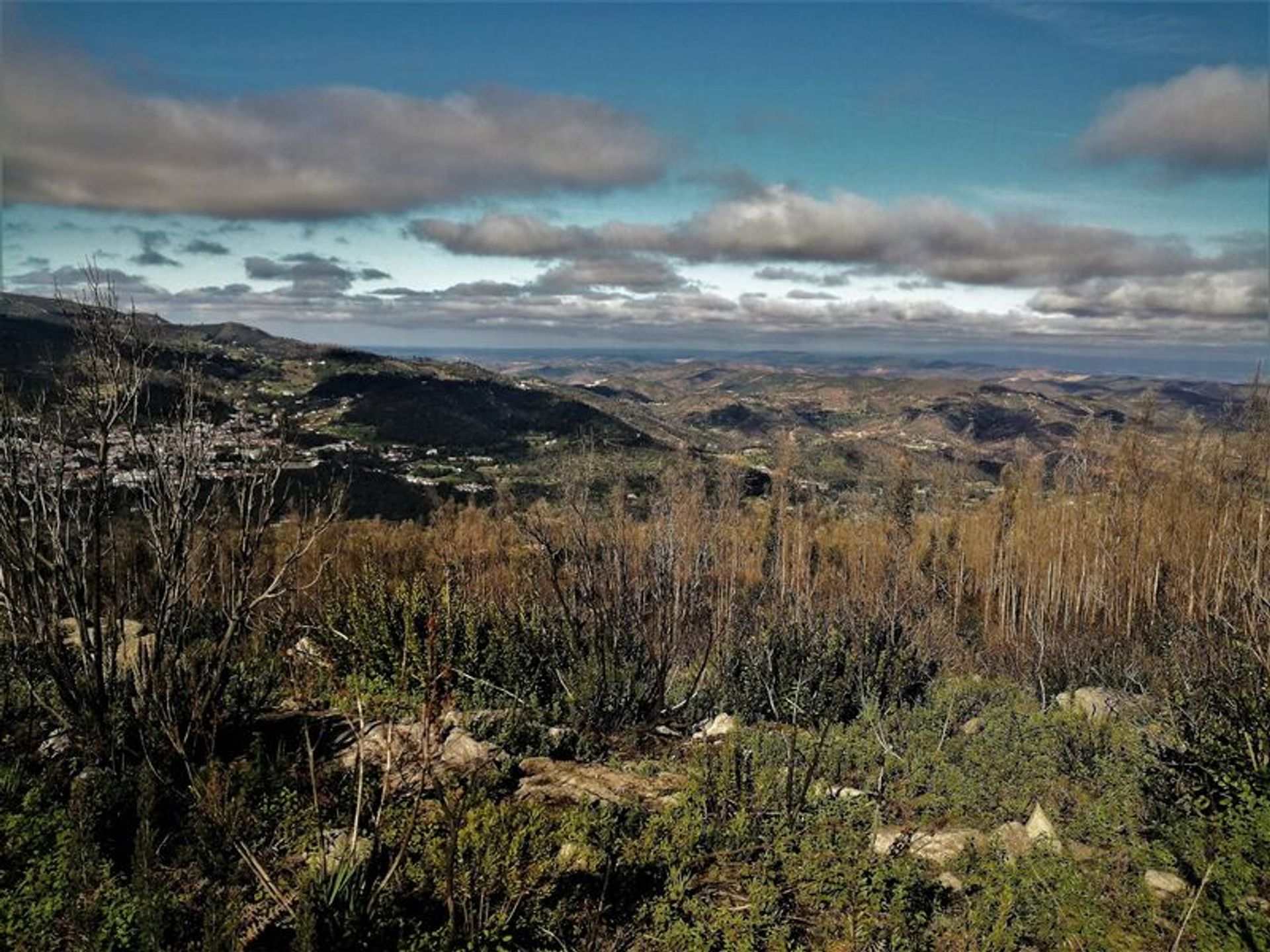 Tierra en Vale, Faro 10931458