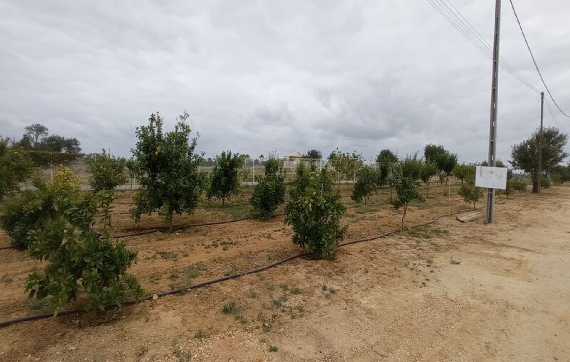 Γη σε Αλμπουφέιρα, Φαραώ 10931500