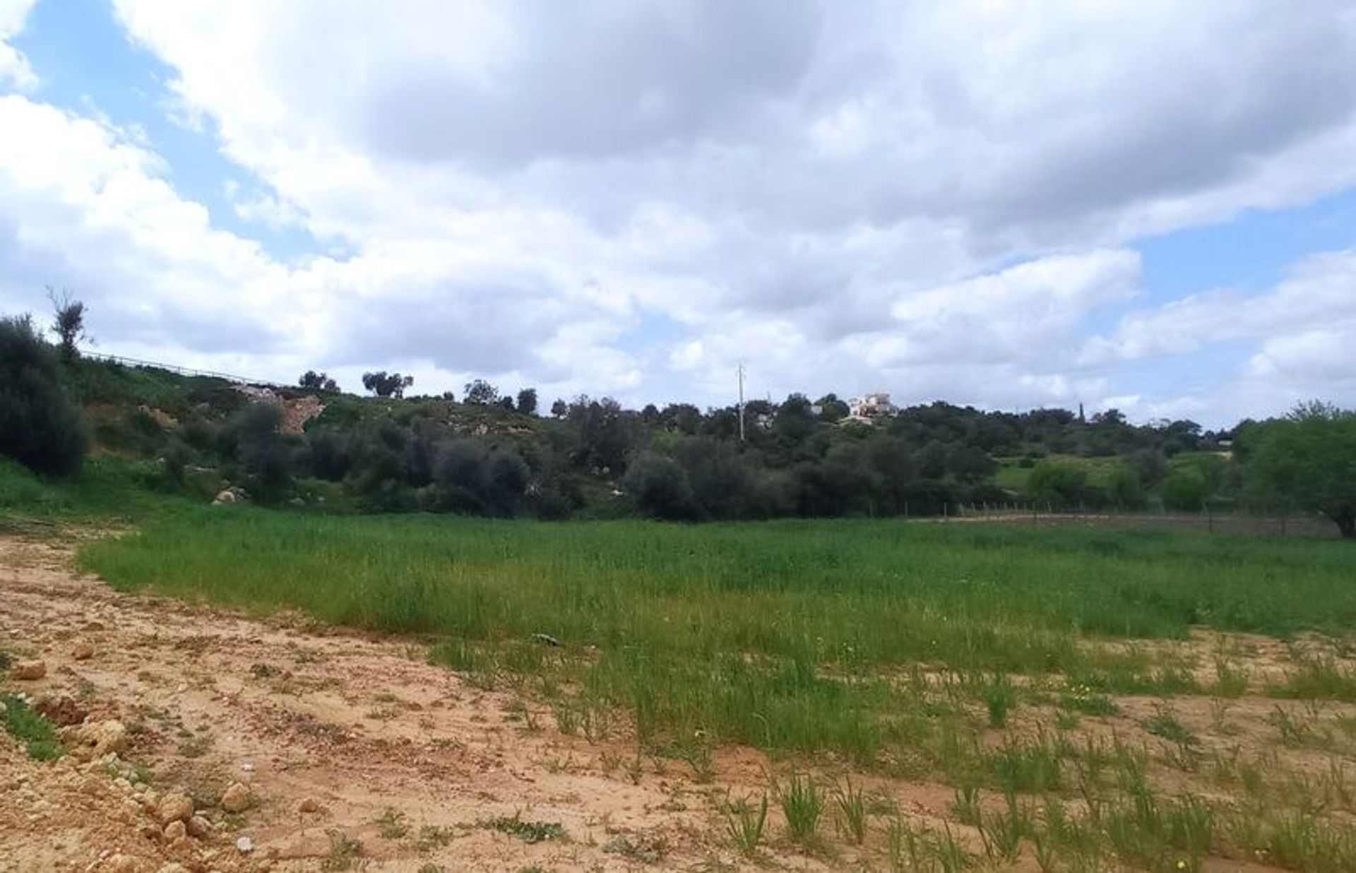 Land im Albufeira, Faro 10931500