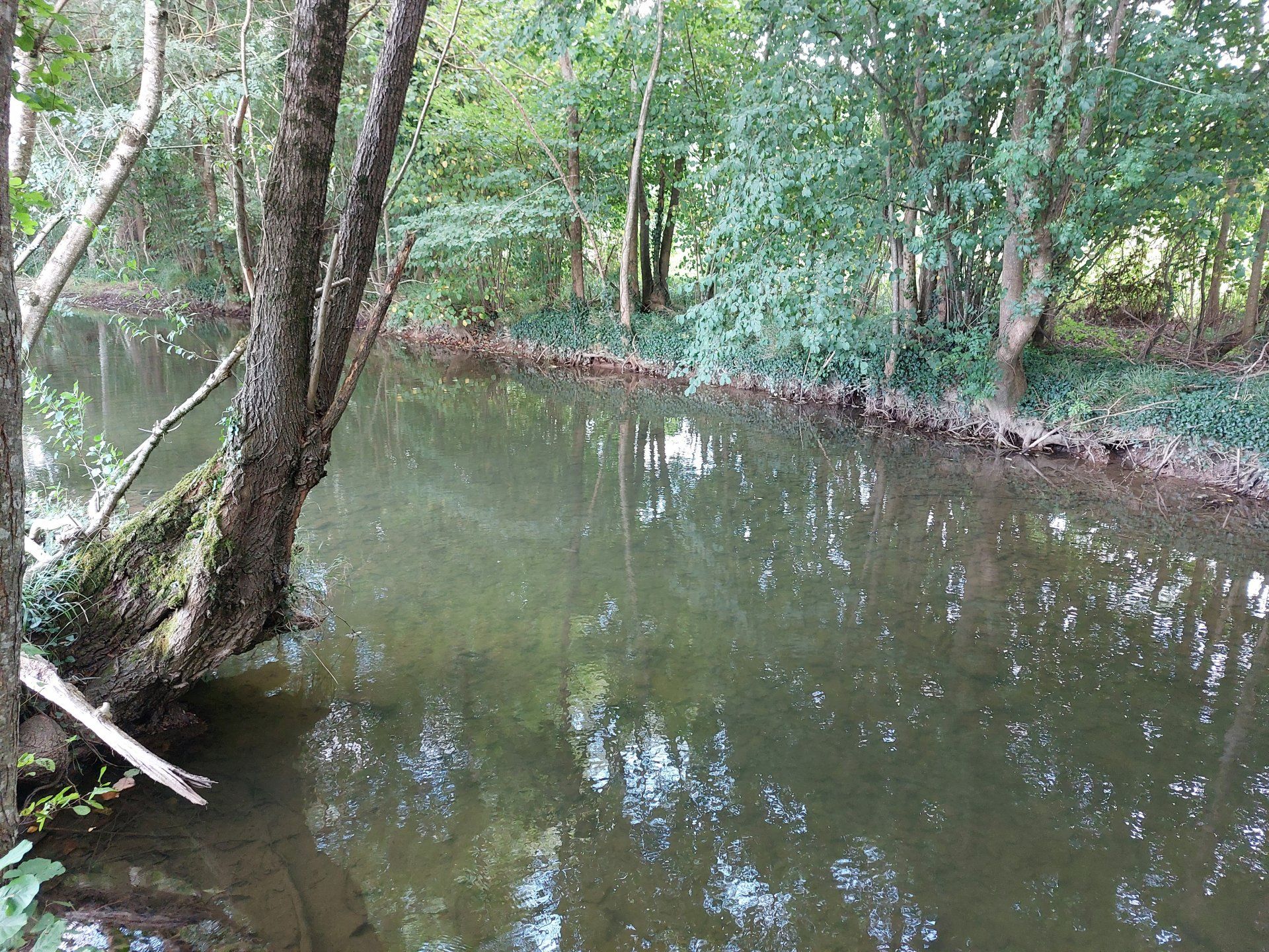 casa en Salles-de-Villefagnan, Nouvelle-Aquitaine 10932167