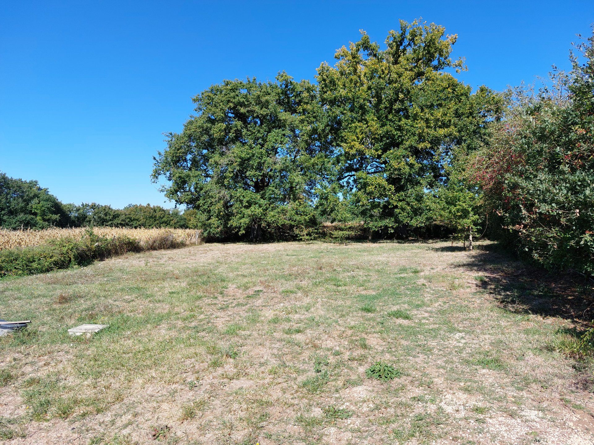 Hus i Savigne, Nouvelle-Aquitaine 10932179