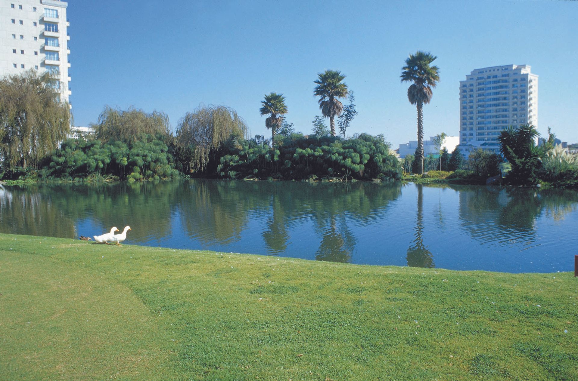 Andere in Santa Lucia, Ciudad de Mexico 10932880