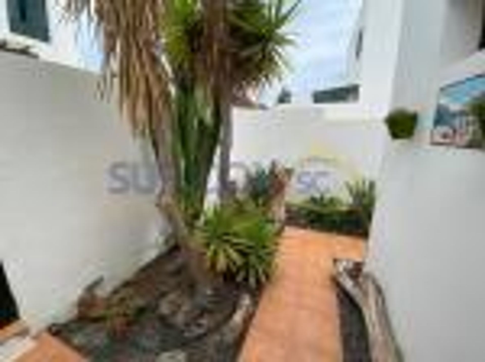 Huis in Guatiza, Canary Islands 10933441