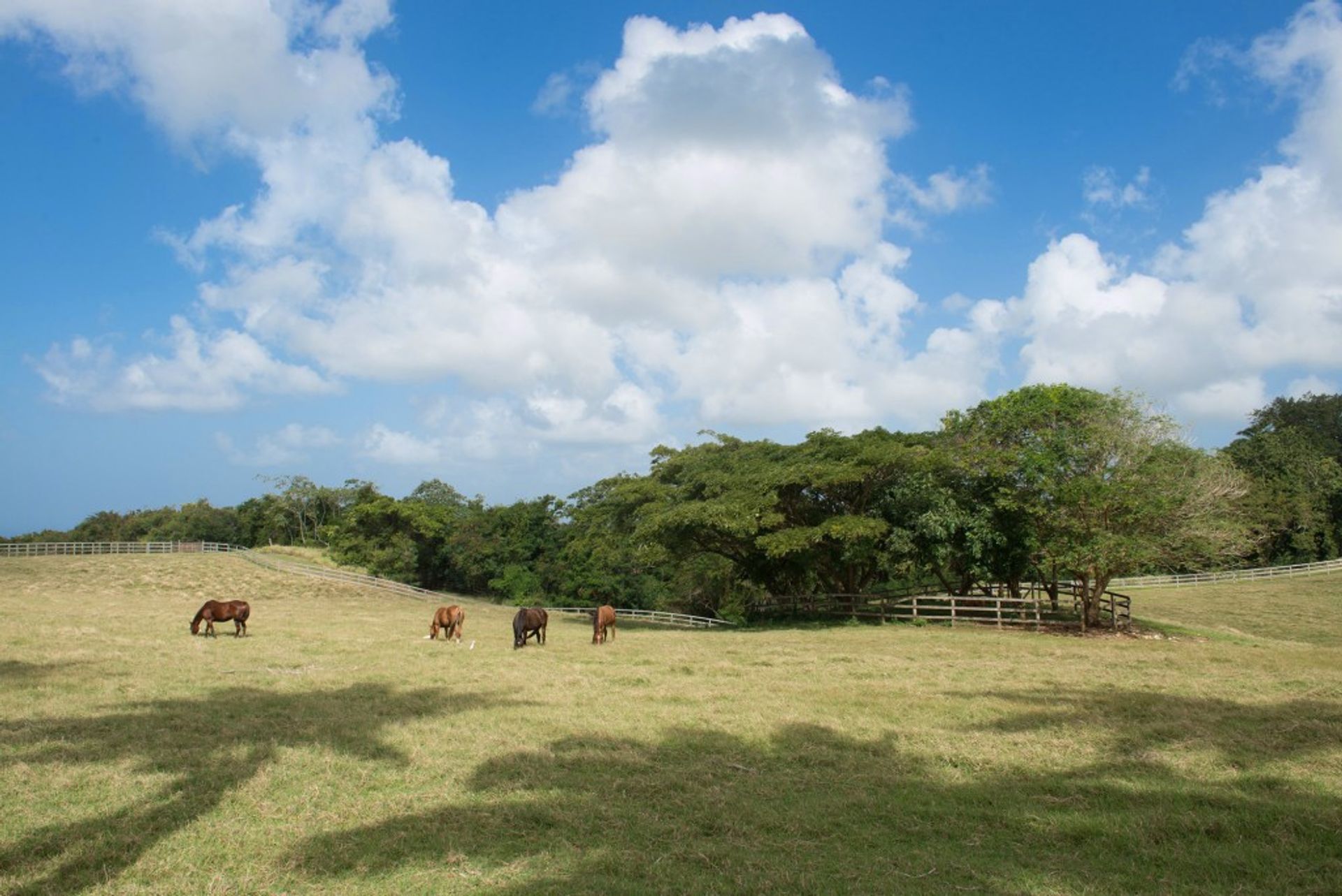 ארץ ב Sion Hill, Saint James 10936334