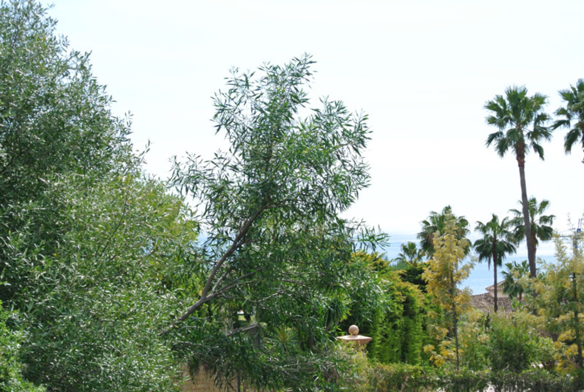 Συγκυριαρχία σε Μαρμπέλλα, Ανδαλουσία 10937145