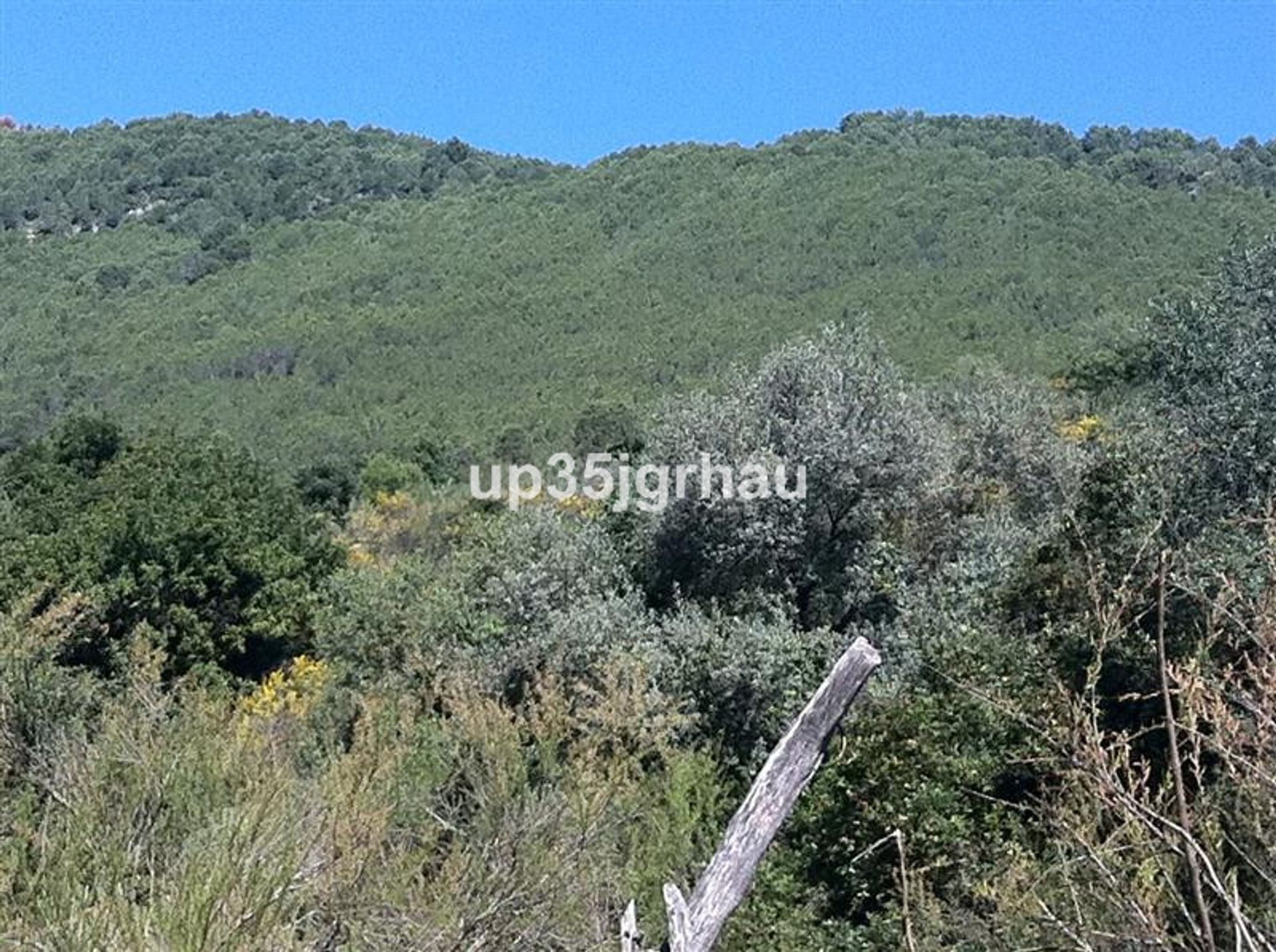 Osakehuoneisto sisään Casares, Andalusia 10937233