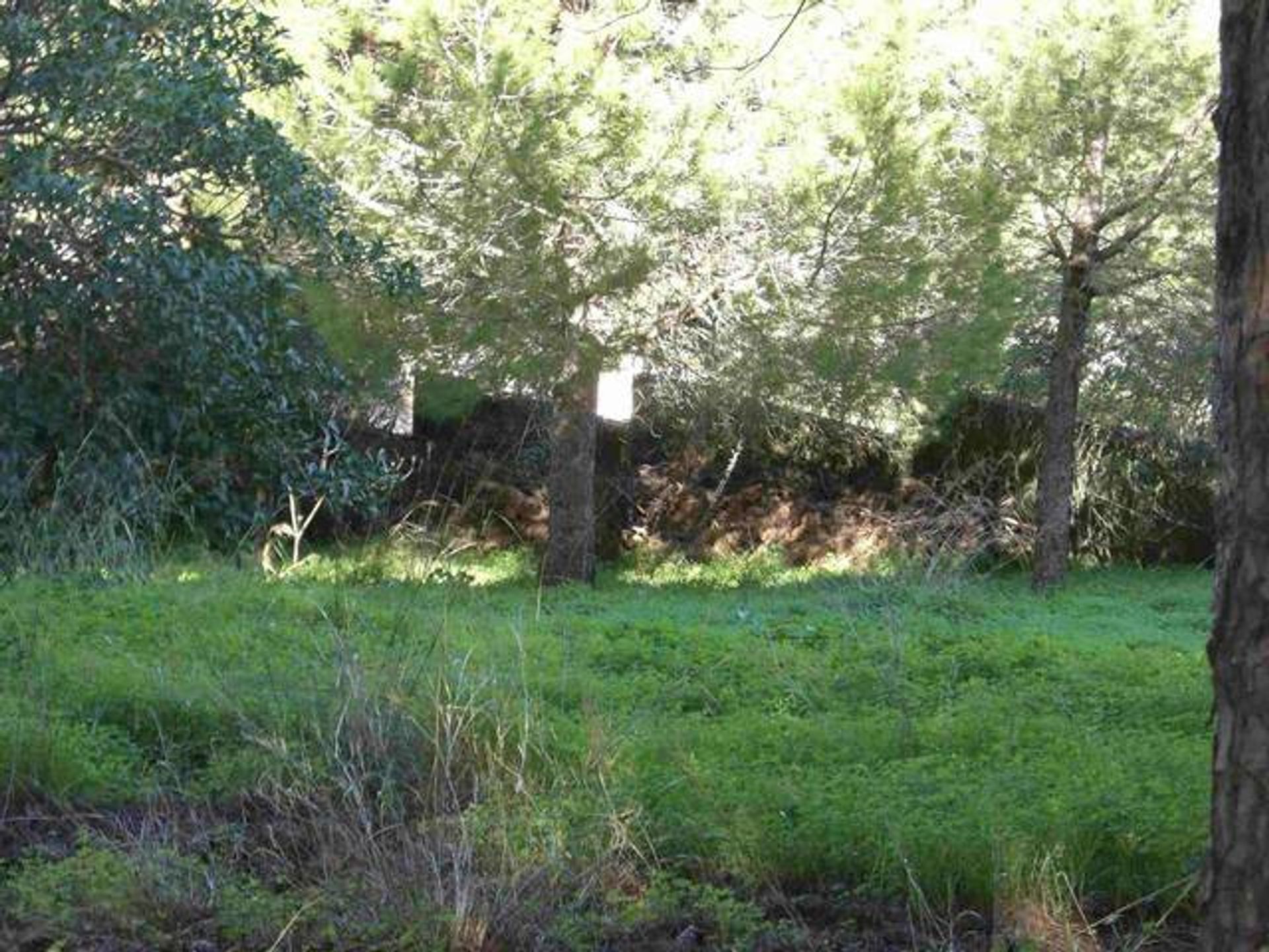 Kondominium dalam Alhaurín de la Torre, Andalusia 10937362