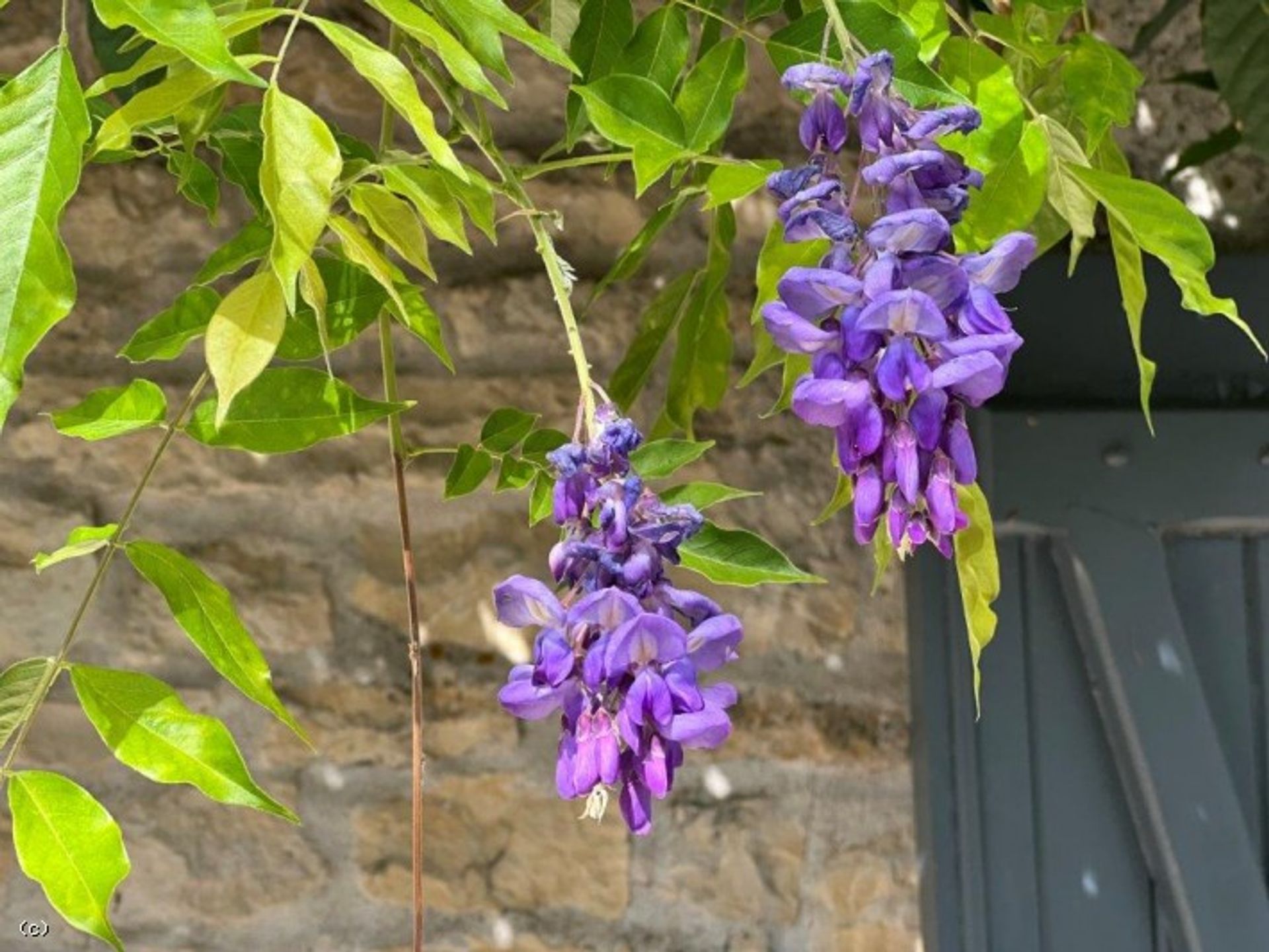 Casa nel Aunac-sur-Charente, Nouvelle-Aquitaine 10937688