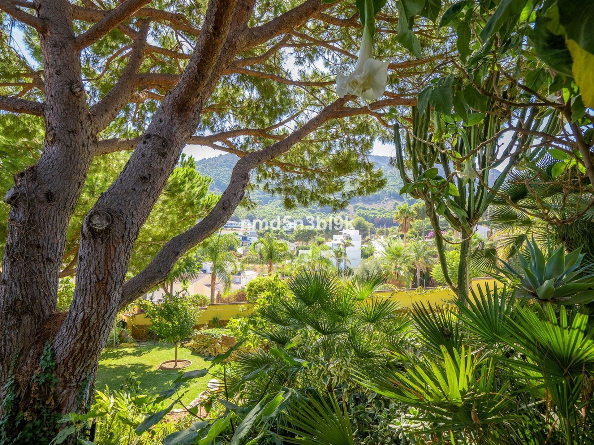 Casa nel Alhaurín de la Torre, Andalusia 10938570