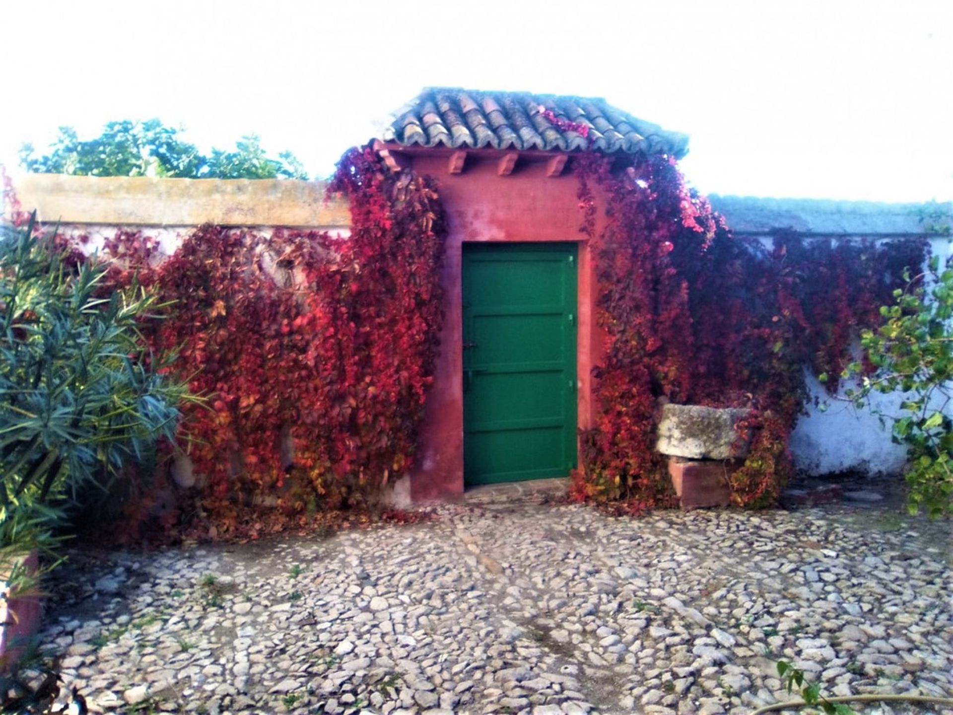 Huis in El Engel, Andalusië 10938698