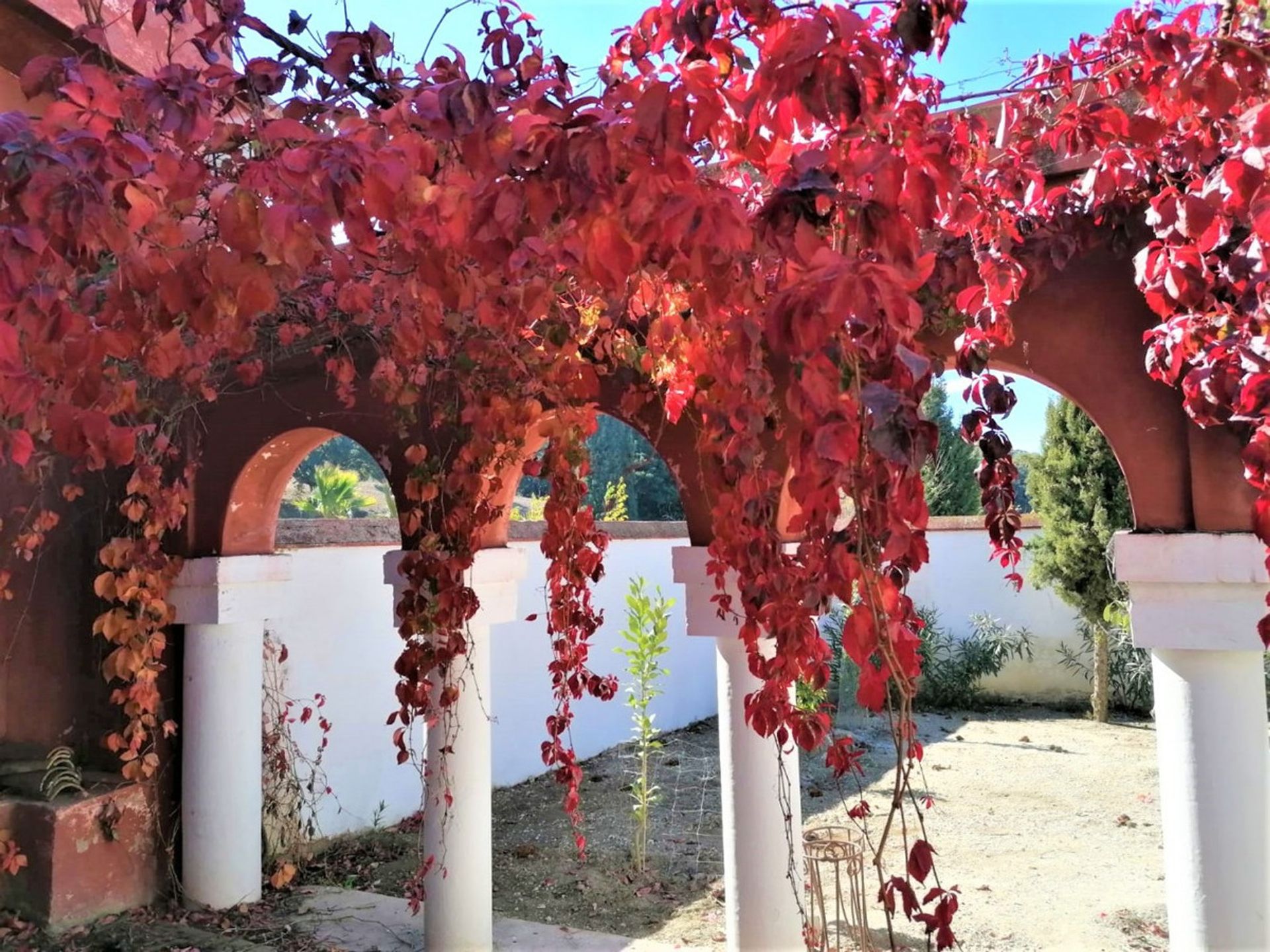 Huis in El Engel, Andalusië 10938698