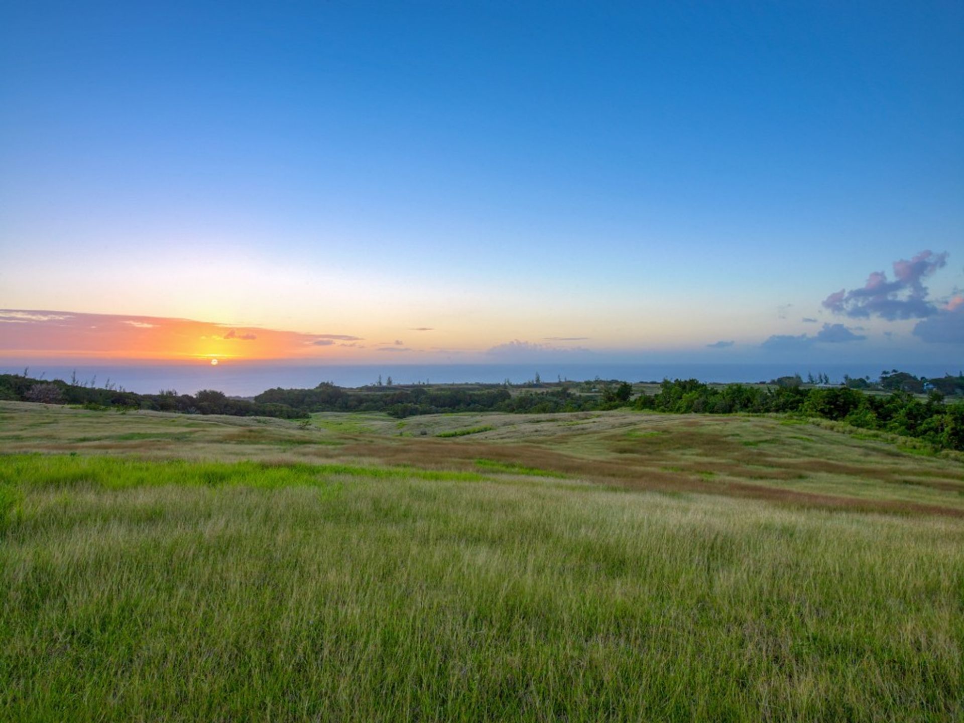 Terre dans Colline de Sion, Saint James 10939451