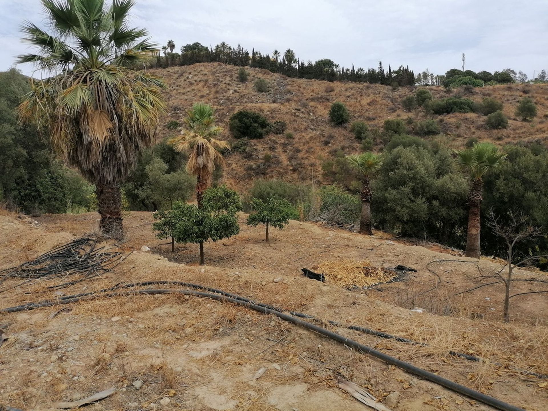 casa en Benalmádena, Andalusia 10939566