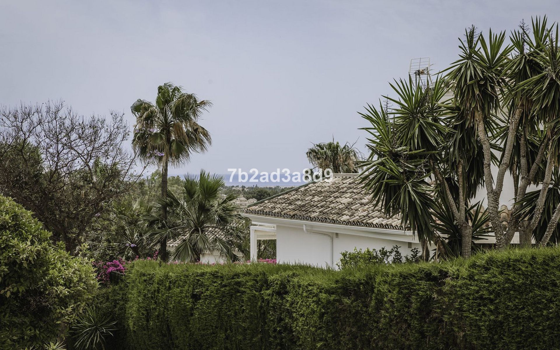 casa en El Ángel, Andalucía 10939724