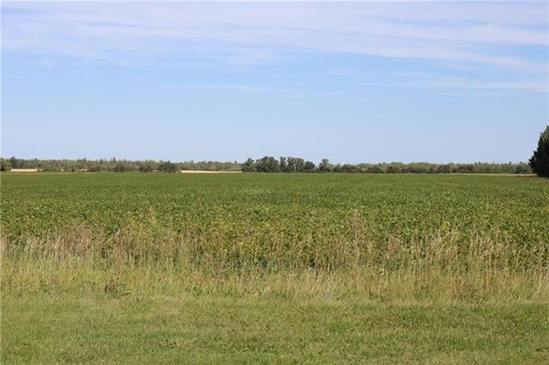 Land in Oost St. Paul, Manitoba 10940040