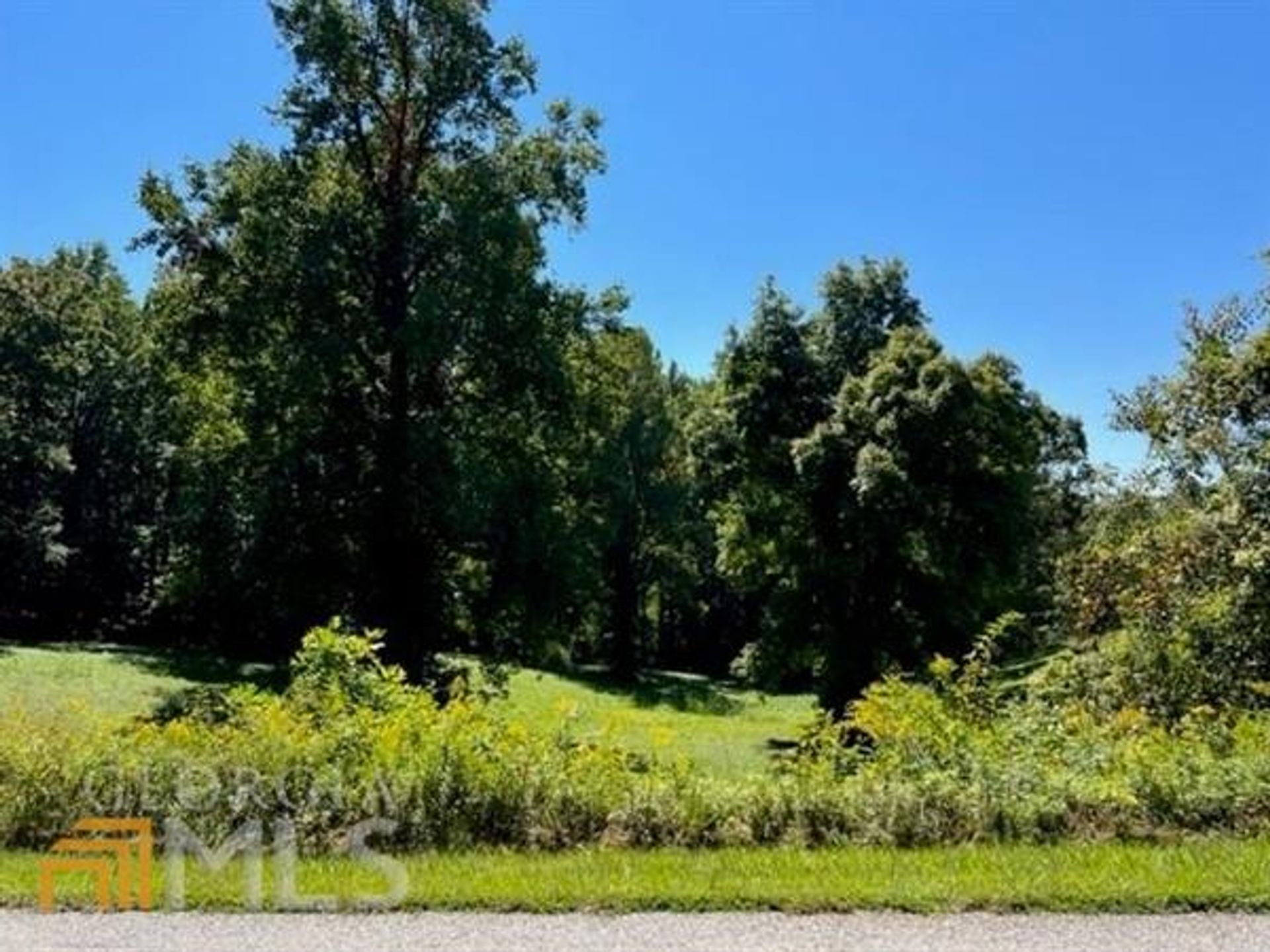 Tierra en lago canal, Georgia 10941065