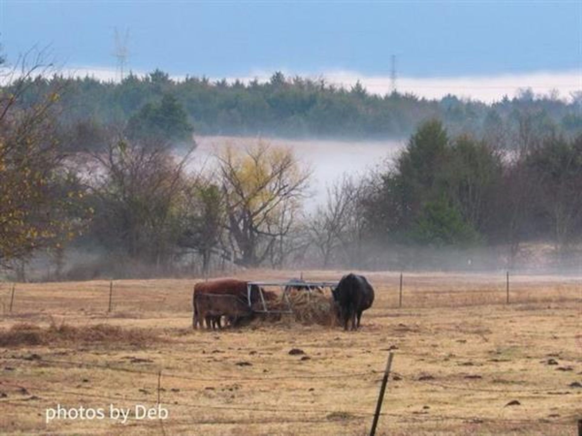 بيت في Millwood, Texas 10943769