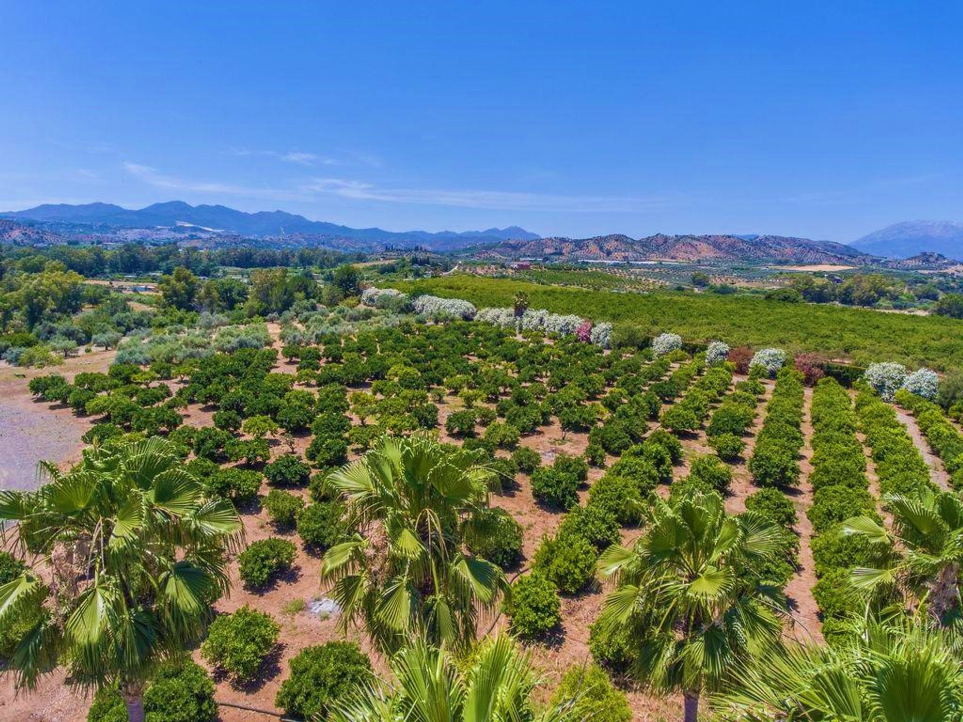 жилой дом в Coín, Andalusia 10944454