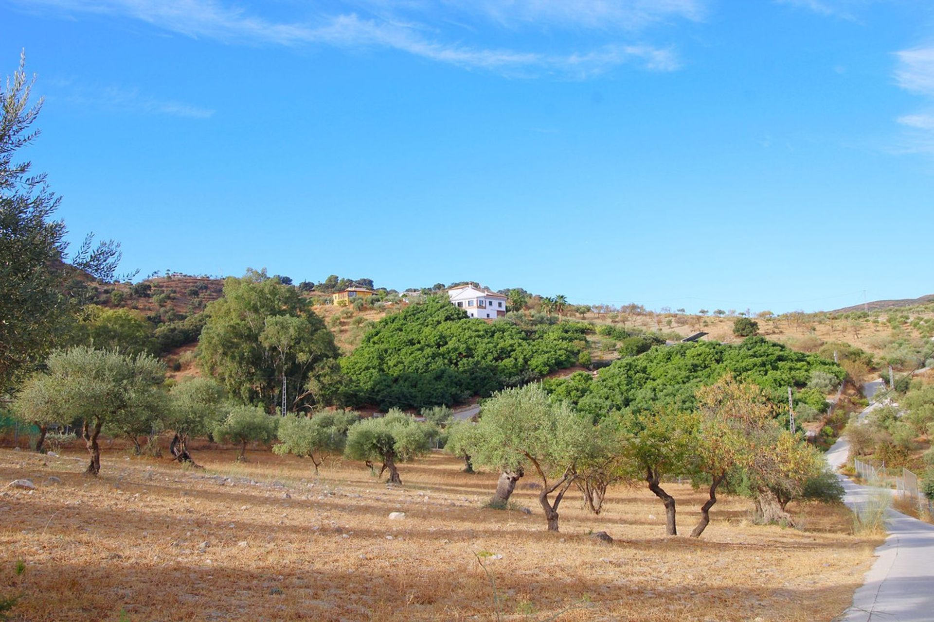 rumah dalam , Andalucía 10944609