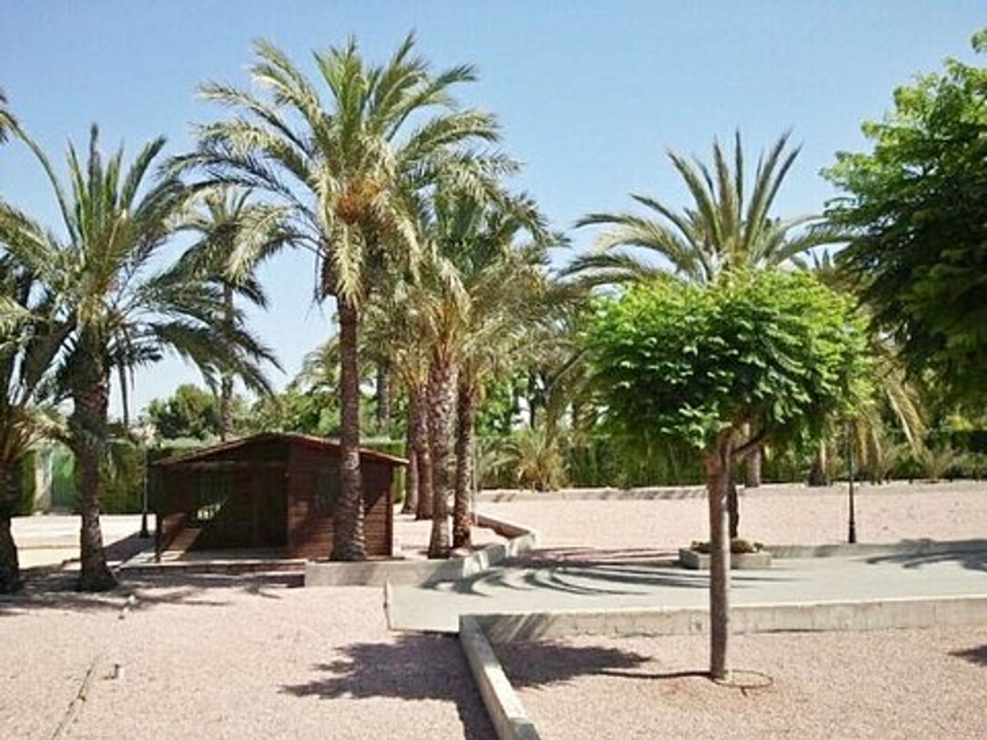 Hus i Elche, Valencian Community 10944823