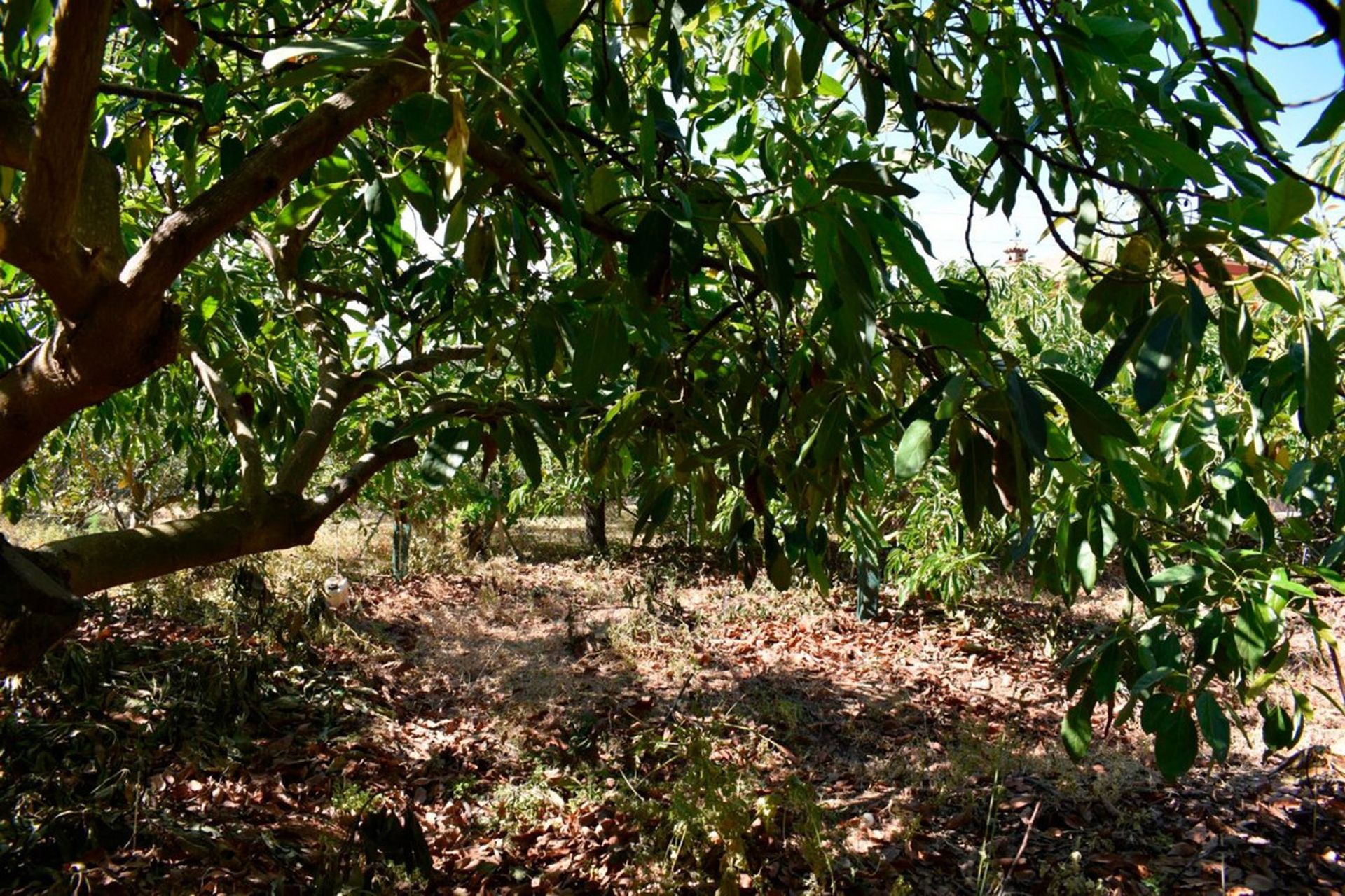 Talo sisään Alhaurín el Grande, Andalusia 10945018