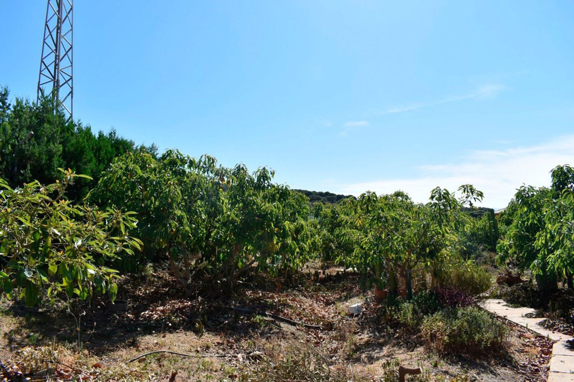 Talo sisään Alhaurín el Grande, Andalusia 10945018