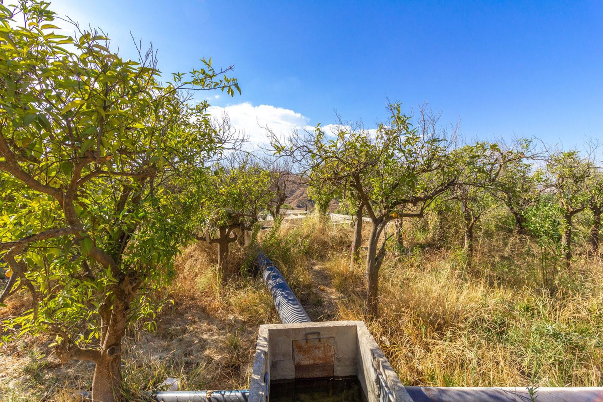 Land in Coín, Andalusia 10945059