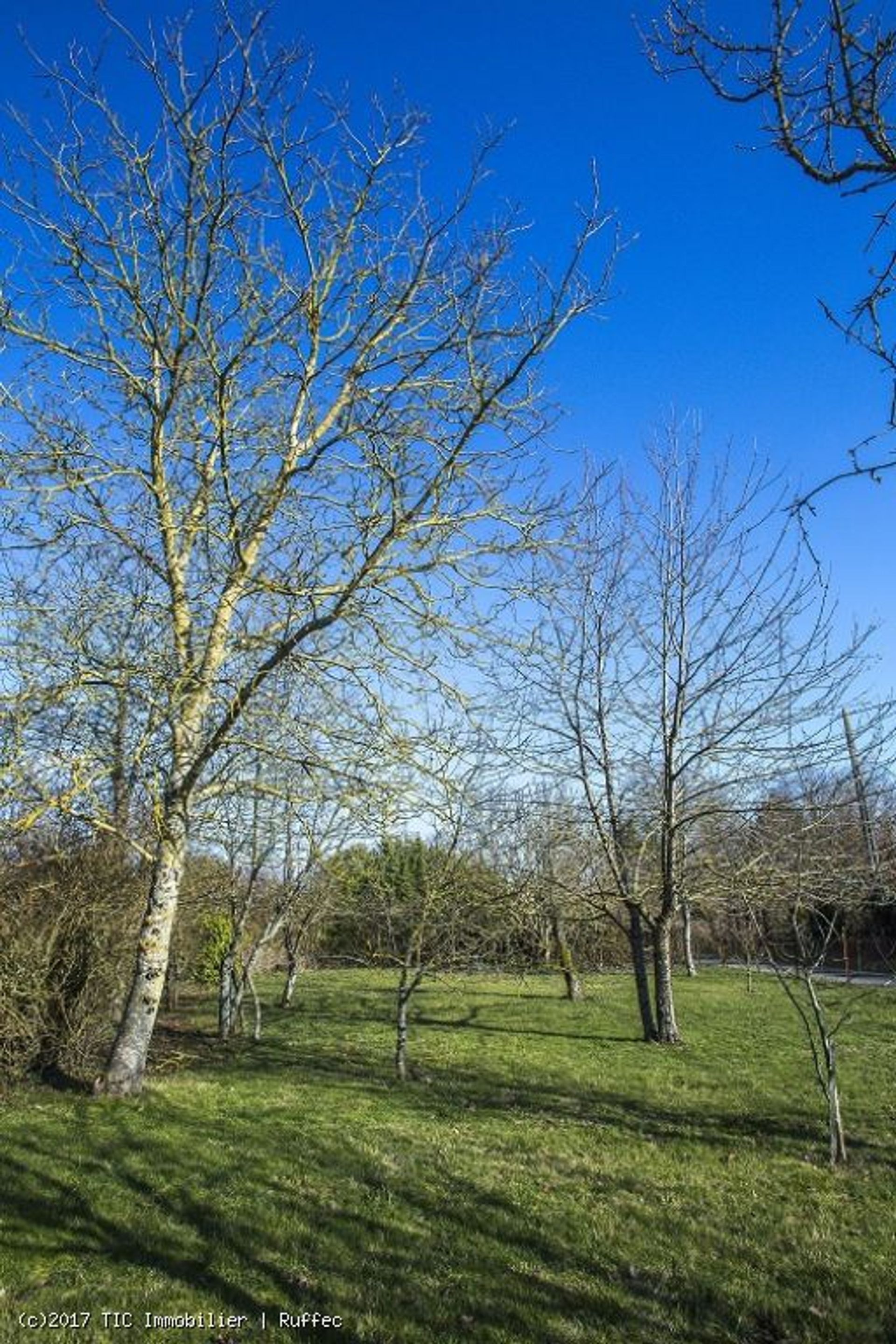 Otro en Ruffec, Nouvelle-Aquitaine 10945308