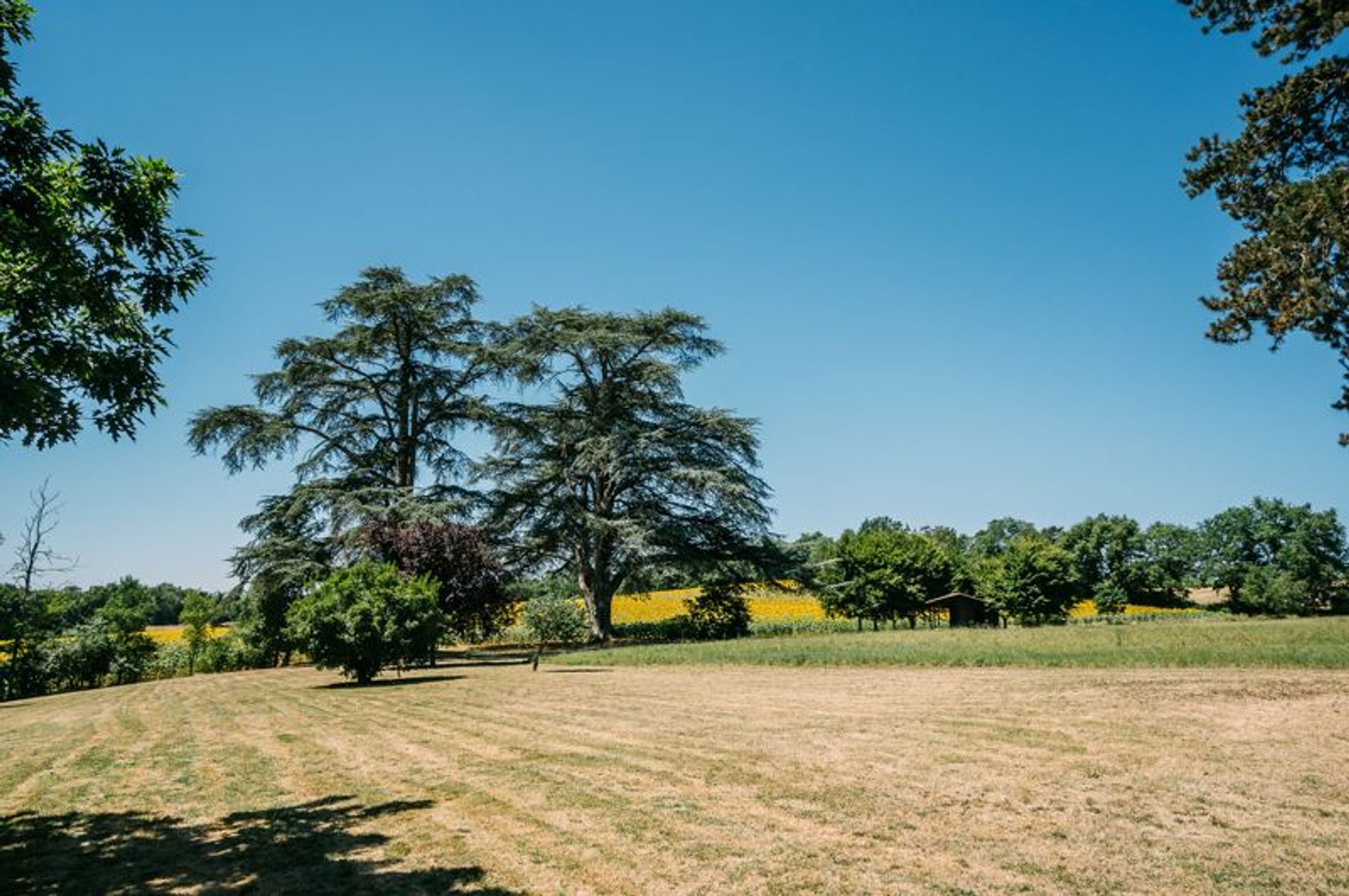 房子 在 Condom, Occitanie 10945855