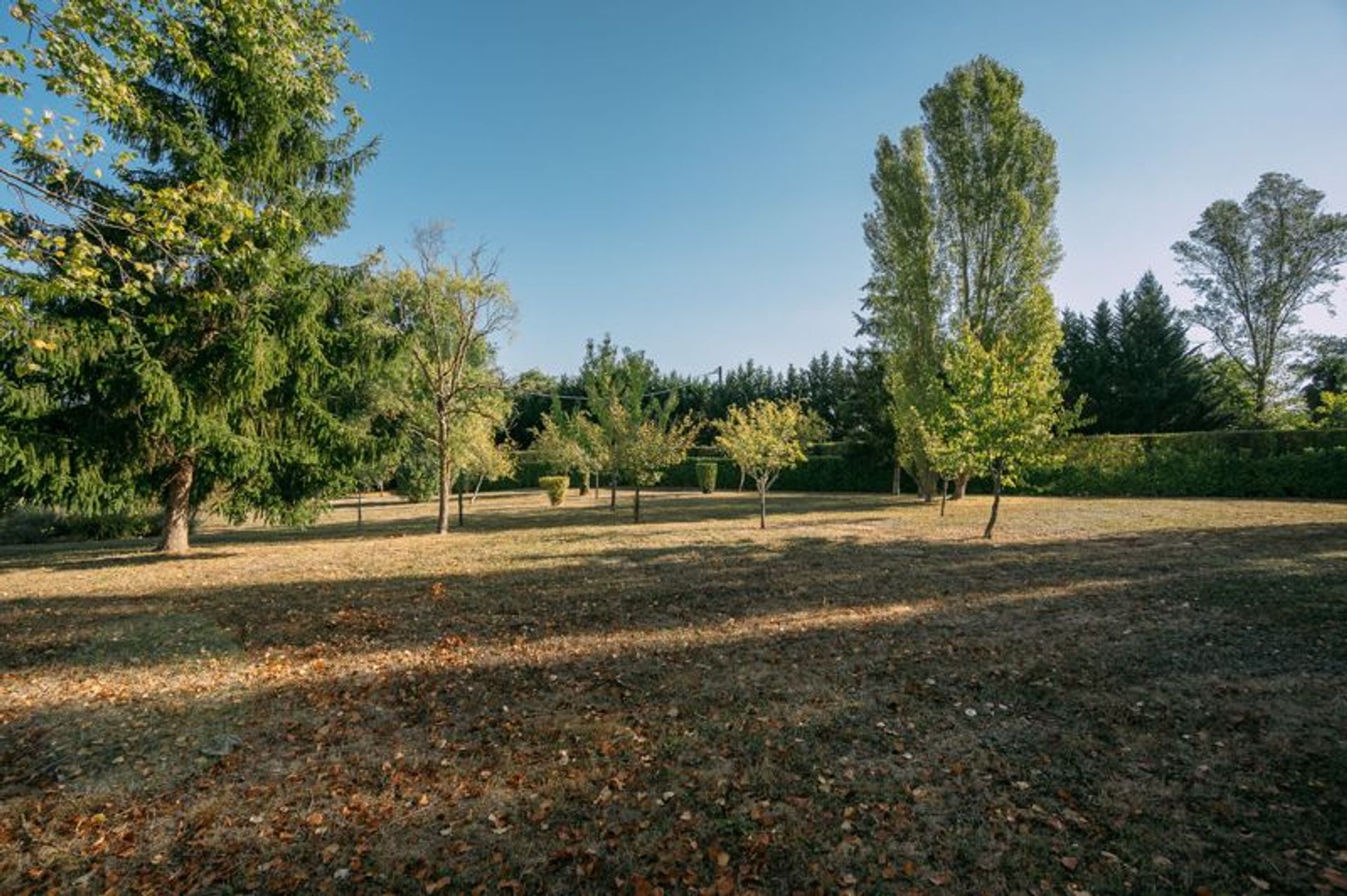 Talo sisään Condom, Occitanie 10945858