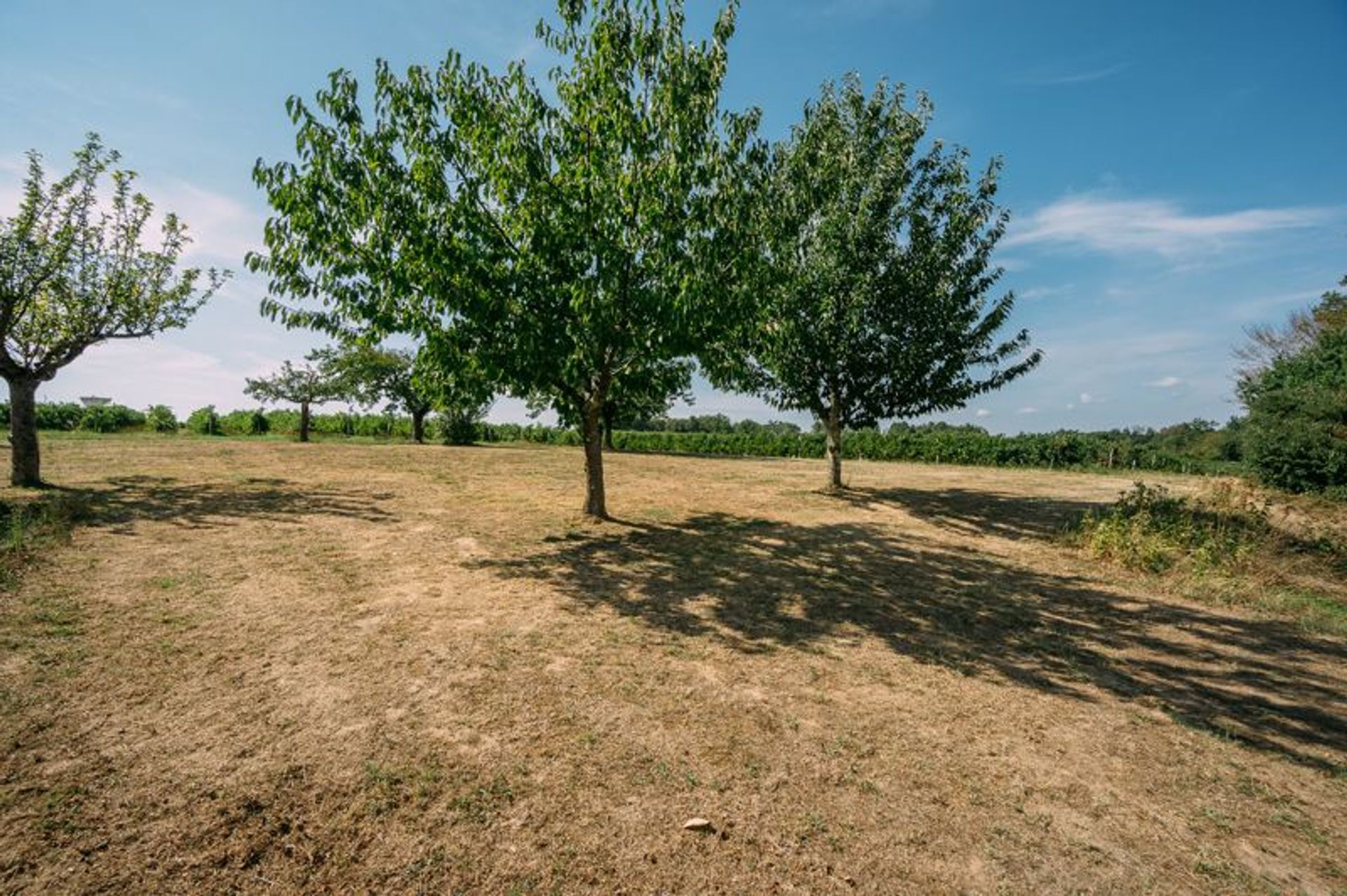 Talo sisään Gondrin, Occitanie 10945864