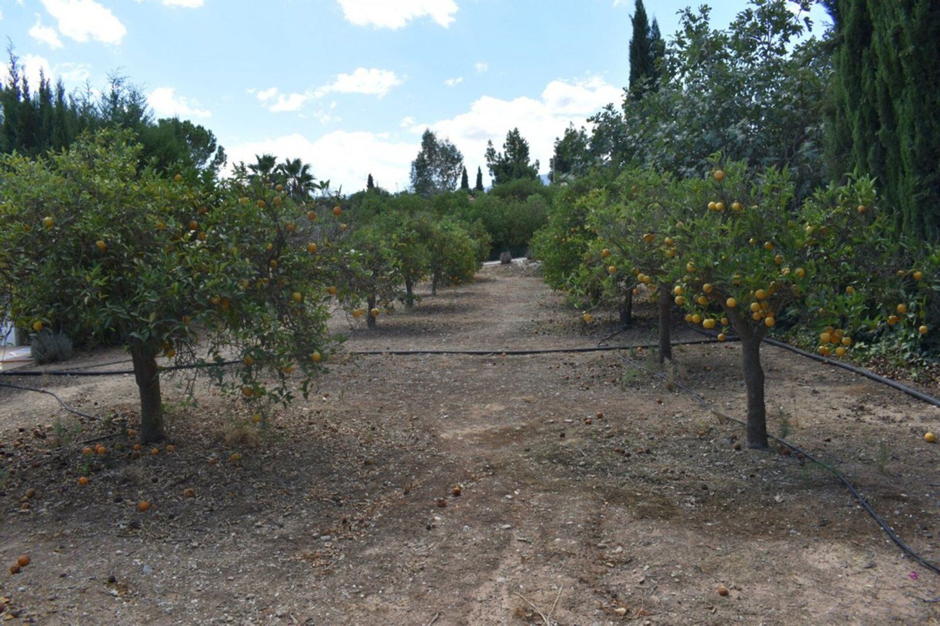 Talo sisään Mijas, Andalusia 10945994