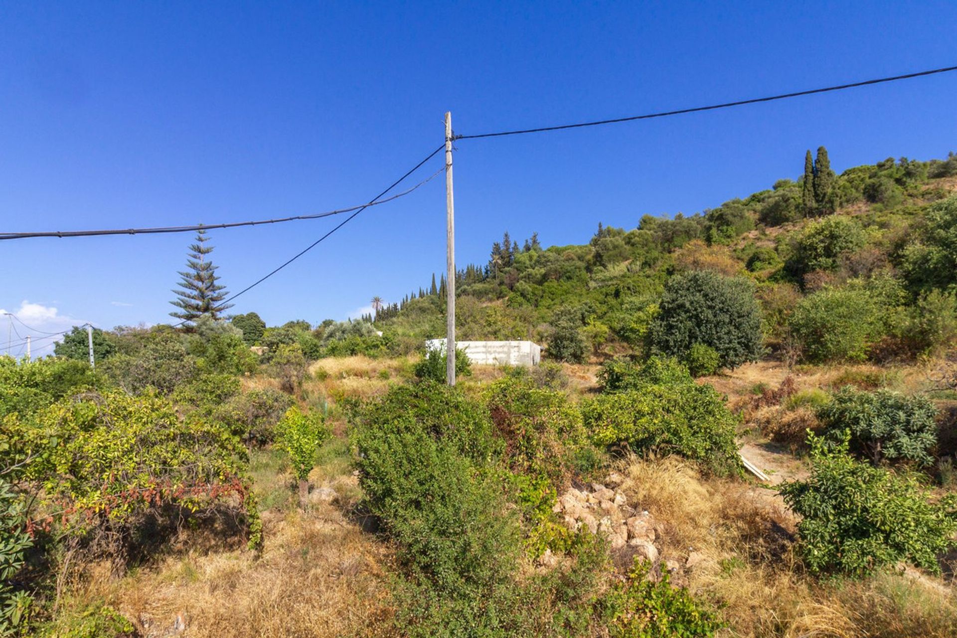 Maa sisään Coín, Andalusia 10946044