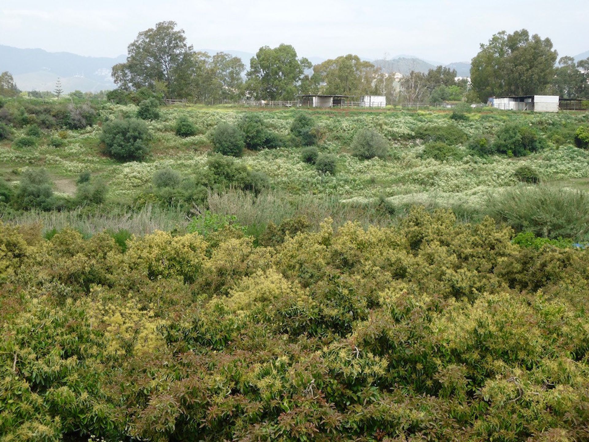 Tanah dalam San Pedro de Alcántara, Andalusia 10947135